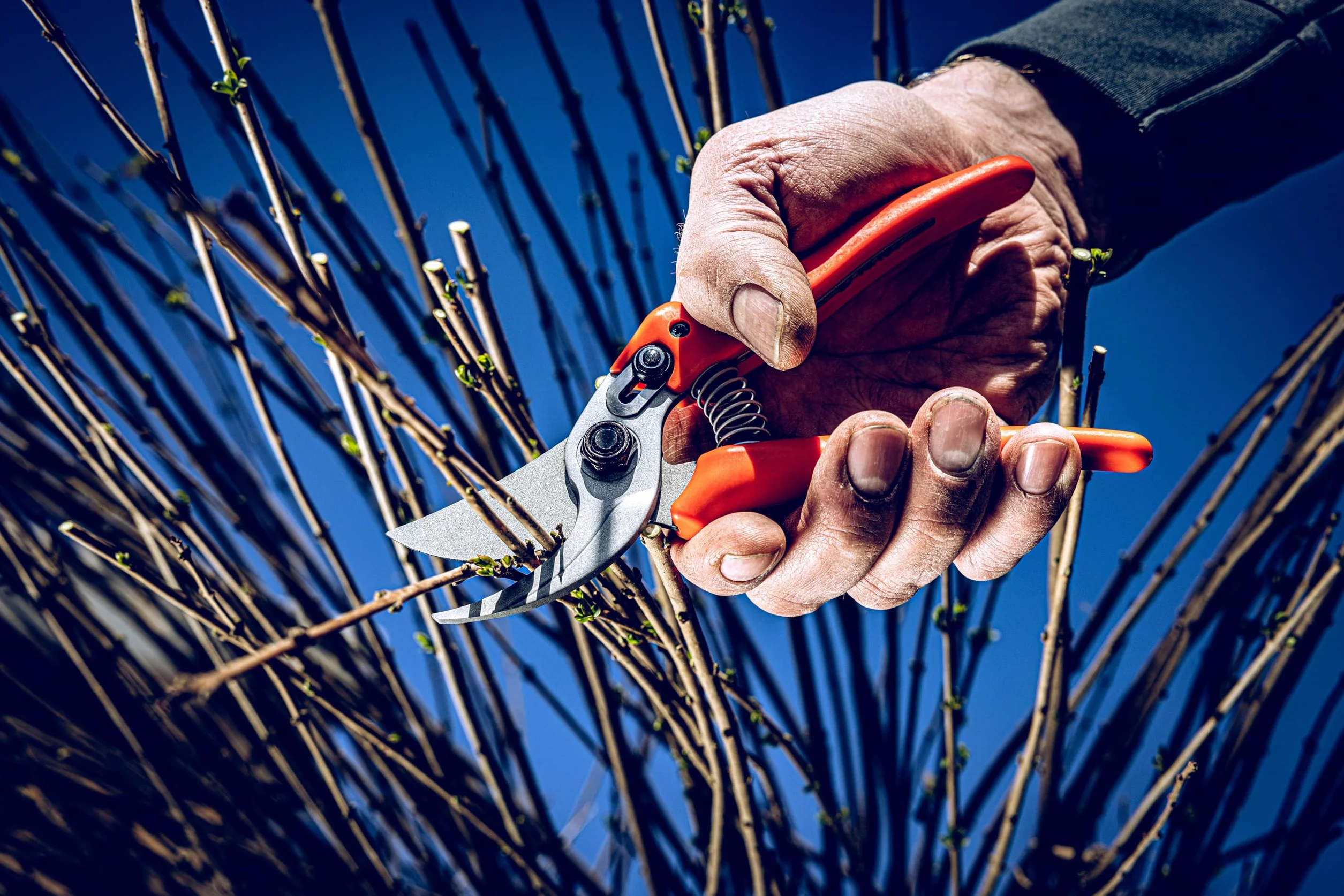 Original LÖWE 14 Bypass Rosenschere 14.104 mit scharfen Stahl-Klingen aus Carbon - robuste Gartenschere mit Antihaftbeschichtung für Rechtshänder zum Schneiden von Rosen Zweige Äste Schnittblumen
