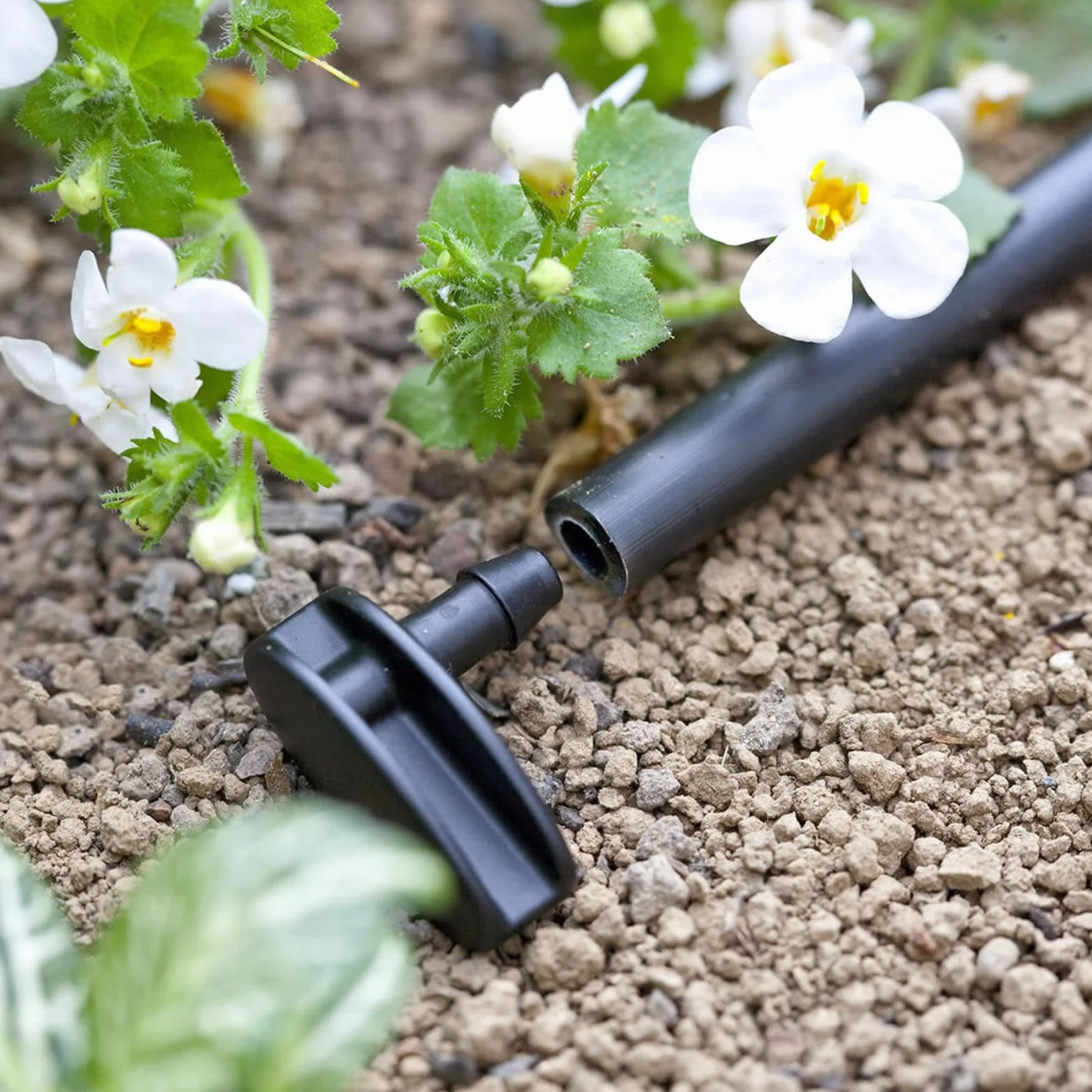 Claber Końcówka rurka kapilarna 1/4" Micro 91170