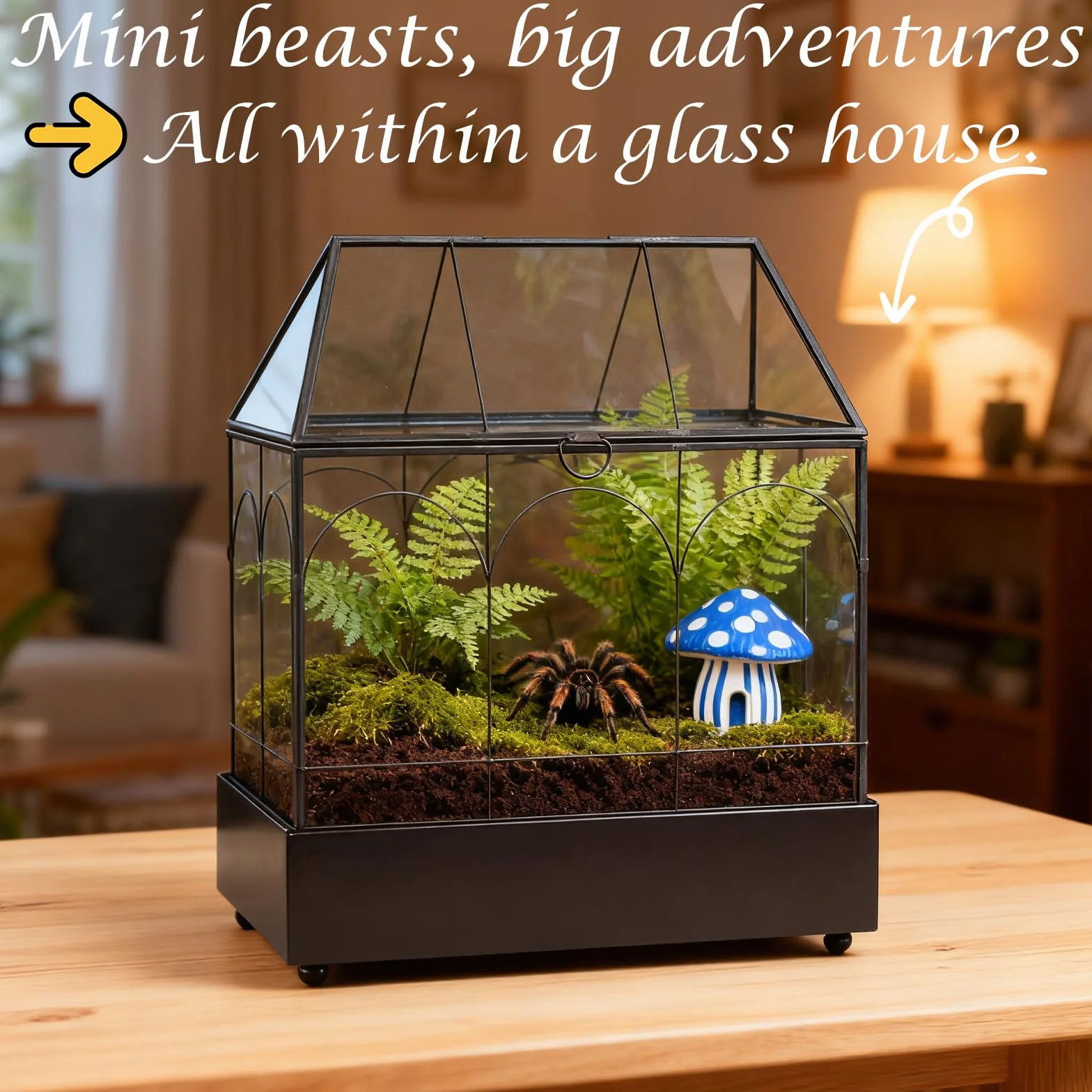 EFUTURETIME Mini szklarnia, parapet okienny, szklany z tacką na ścinki, 24,2 x 14,7 x 29 cm, terrarium dla roślin, mały ogród w butelkach, "zrób to sam" (nie zawiera roślin), dekoracja na sukulenty