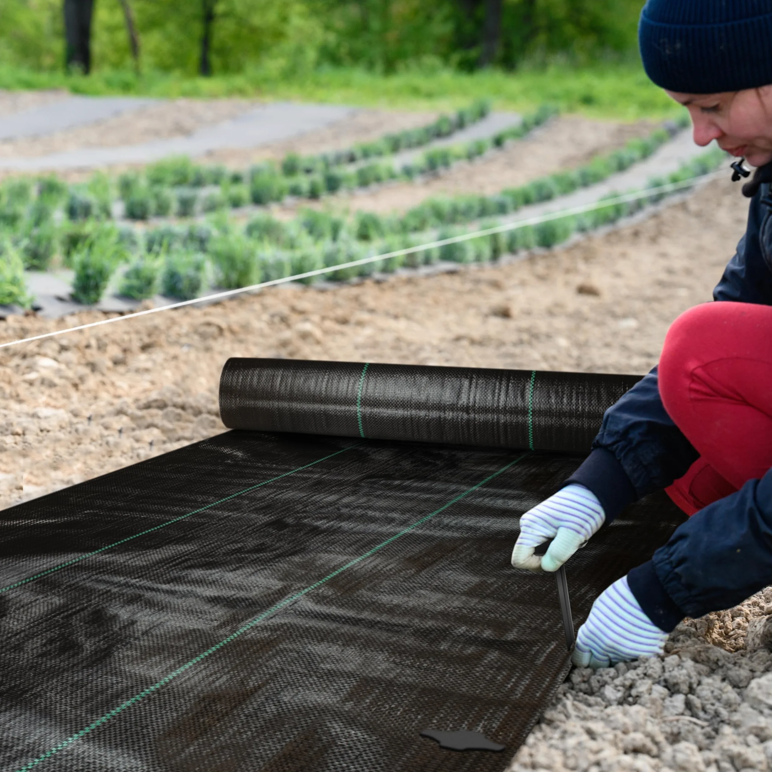 Sillar Folia przeciw chwastom, folia ogrodowa, przepuszczająca wodę, odporna na rozerwanie, z wysoką stabilnością UV (90 g/m², 3x10m)