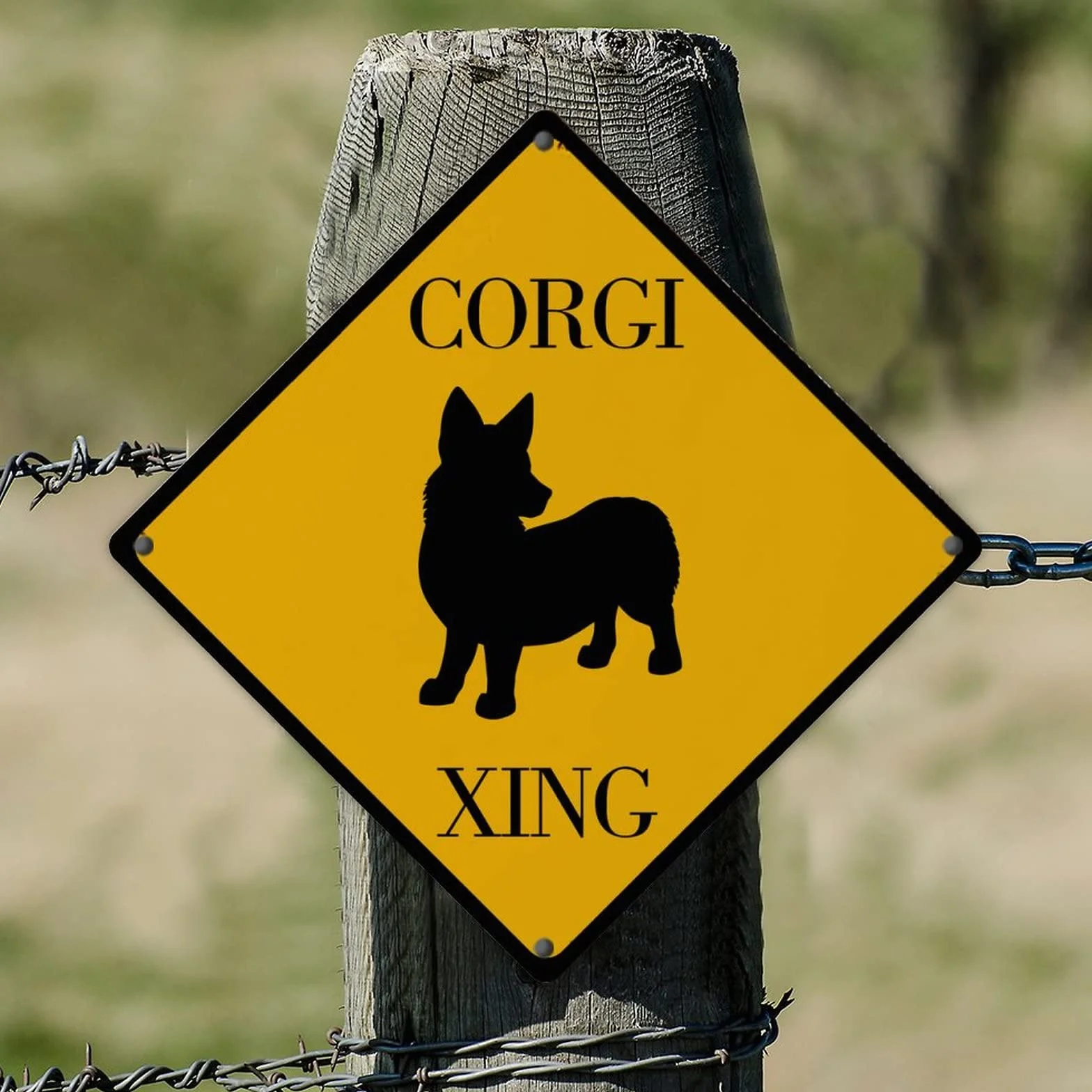 Corgi Xing ostrzeżenie metalowy znak koliber powitalny znak metalowy znak chroniony przed promieniowaniem UV odporny na blaknięcie metalowy aluminiowy znak do bramy domu ogrodu barów restauracji 30 x 30 cm