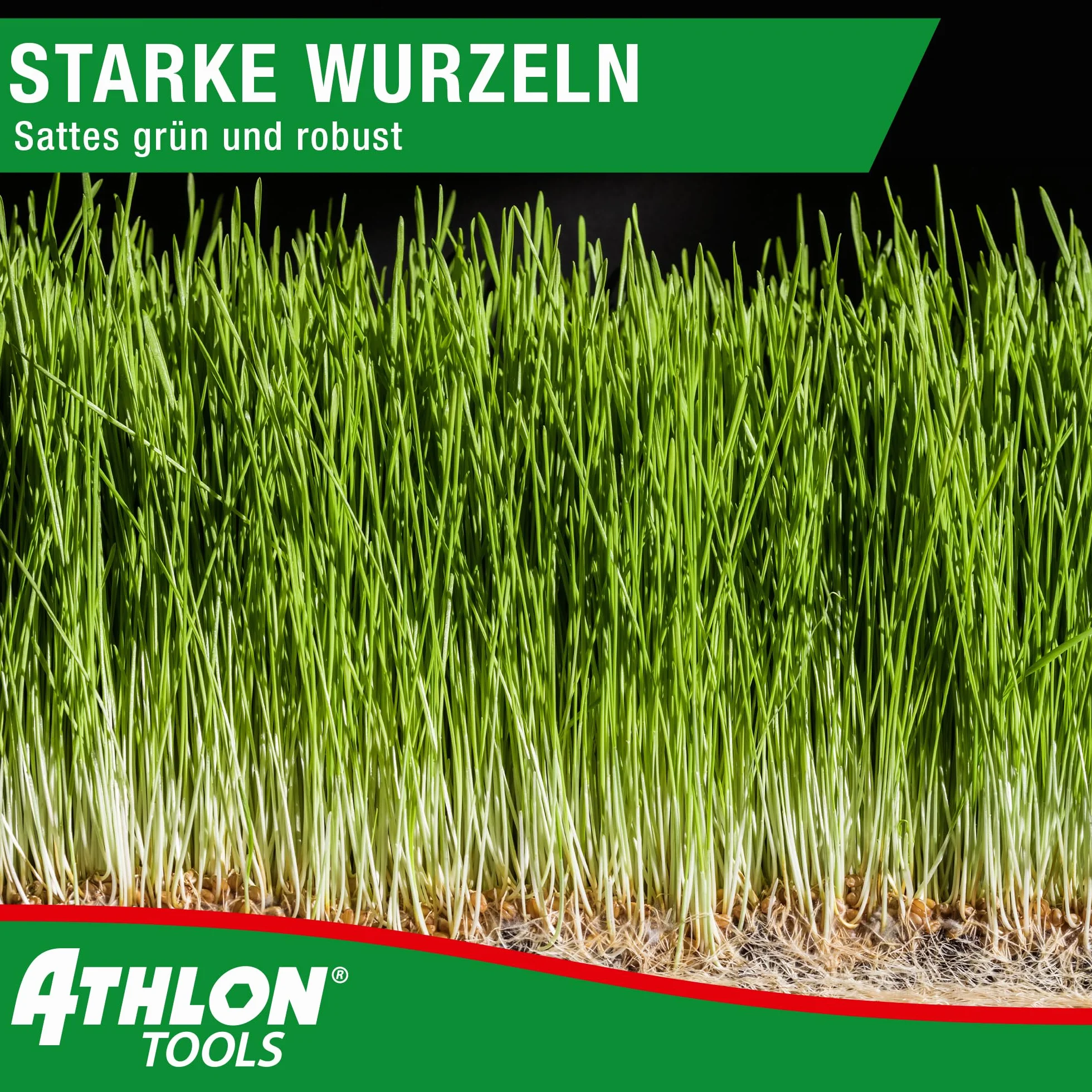 ATHLON TOOLS nasiona trawnika 1 kg 40 m² szybko kiełkujące dosiew