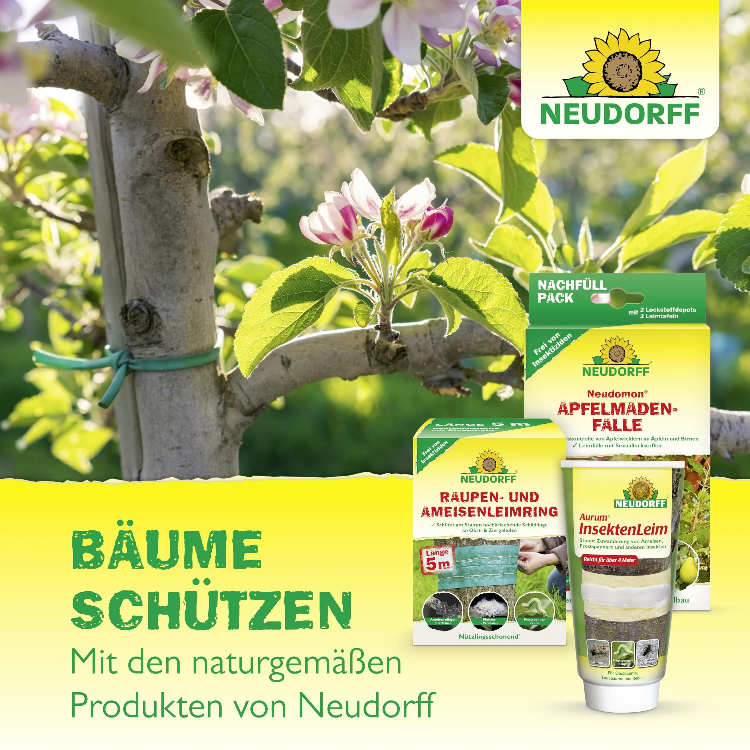 Neudorff 801 Lauril wosk drzewny, 250 g