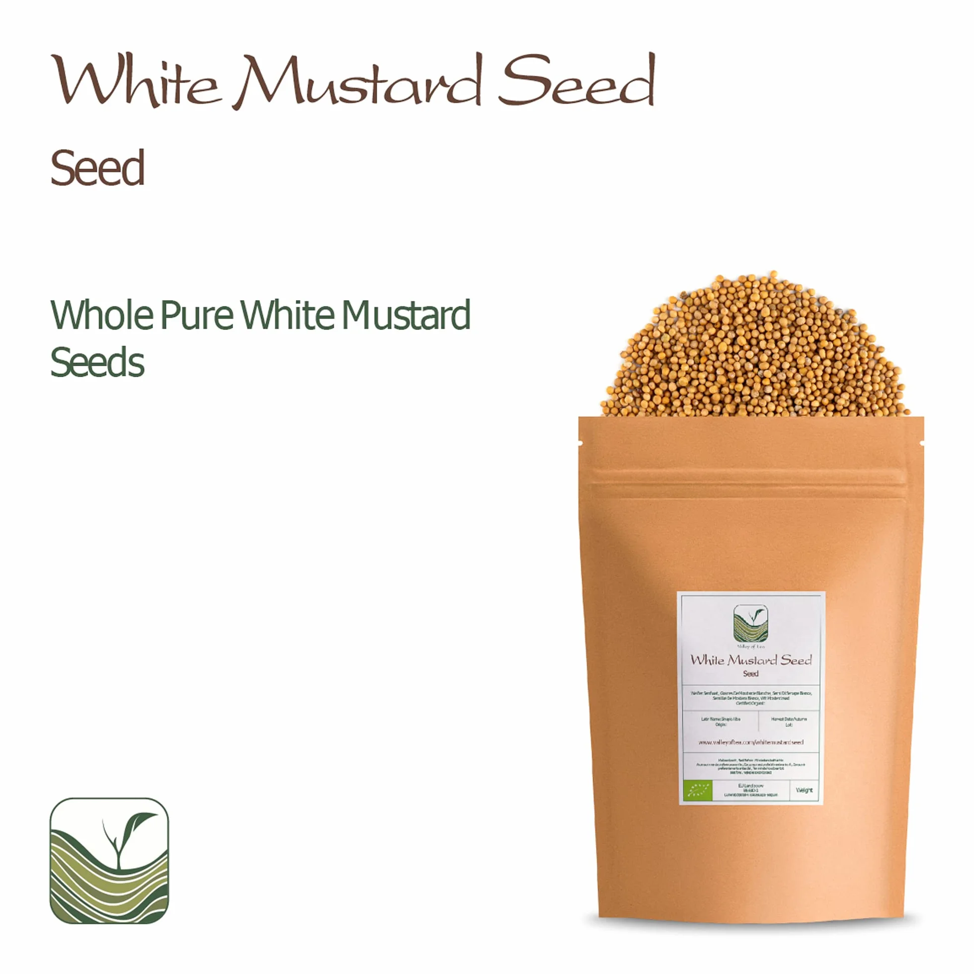 Yellow Mustard Seeds Whole - White Mustard Seed Spicy Ingredient