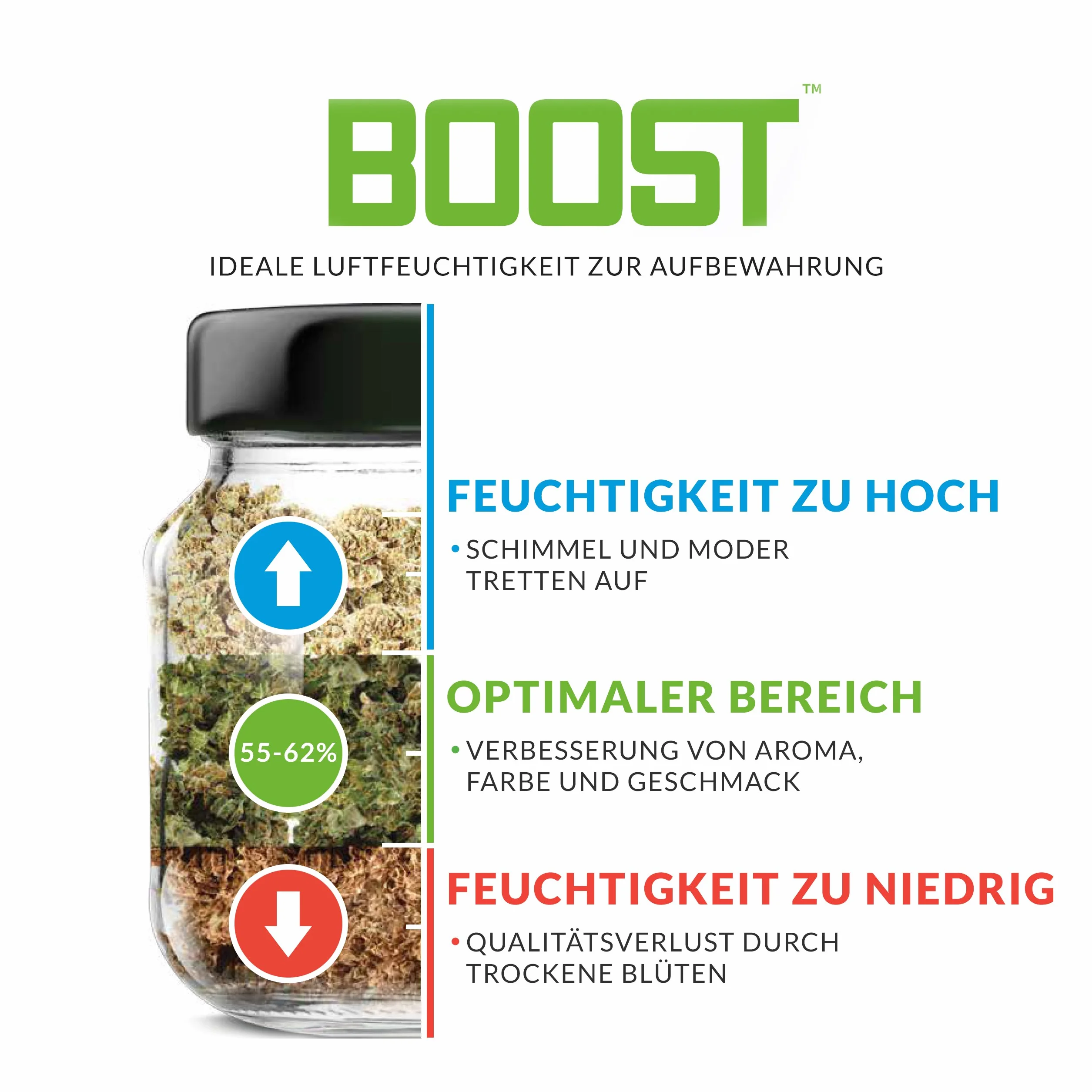 Integra Boost 62% - 8 x 8g Regulator Wilgoci I 2-kierunkowy Nawilżacz ze Wskaźnikiem Wyświetlacza - Wilgotność do 25g I Pakiet Nawilżający