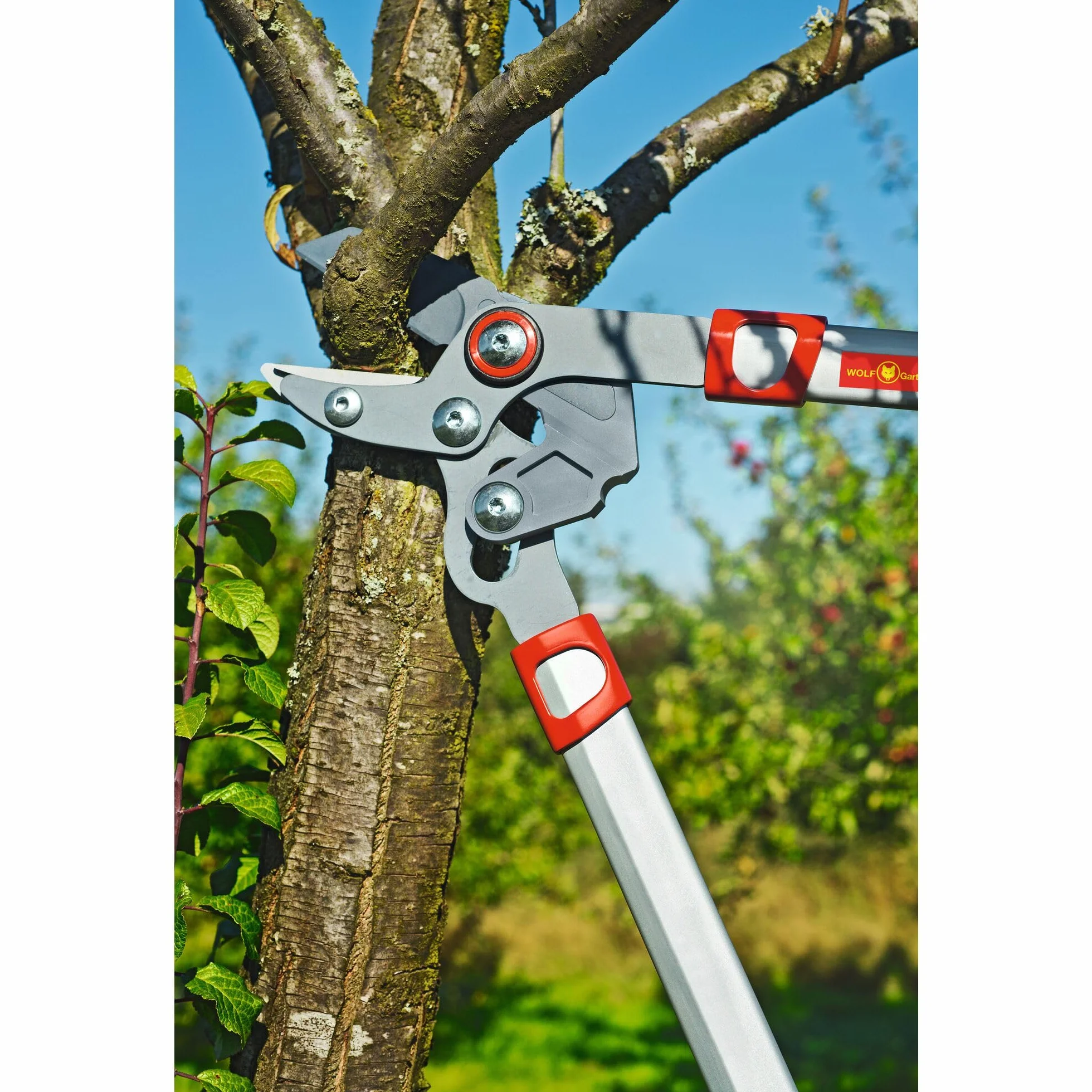 Wolf-Garten RR650 Power Cut Bypass Loppers, czerwony, 40 mm