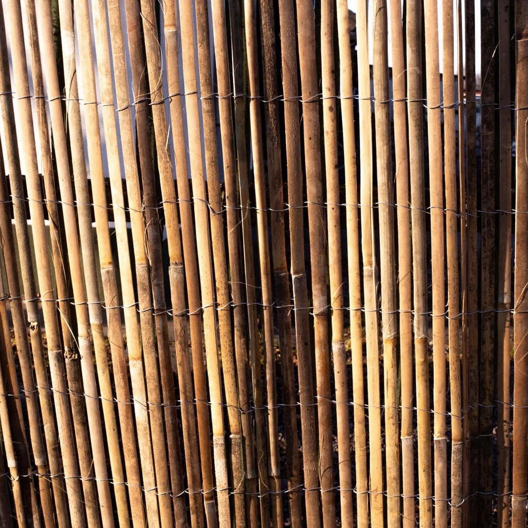 Mata bambusowa z listewek 150 x 500cm