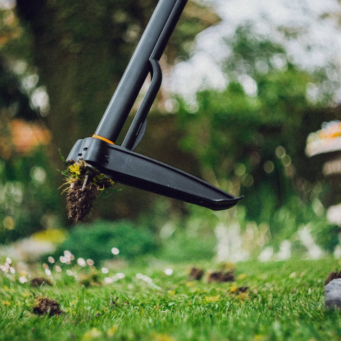 Fiskars Xact Chwastownik