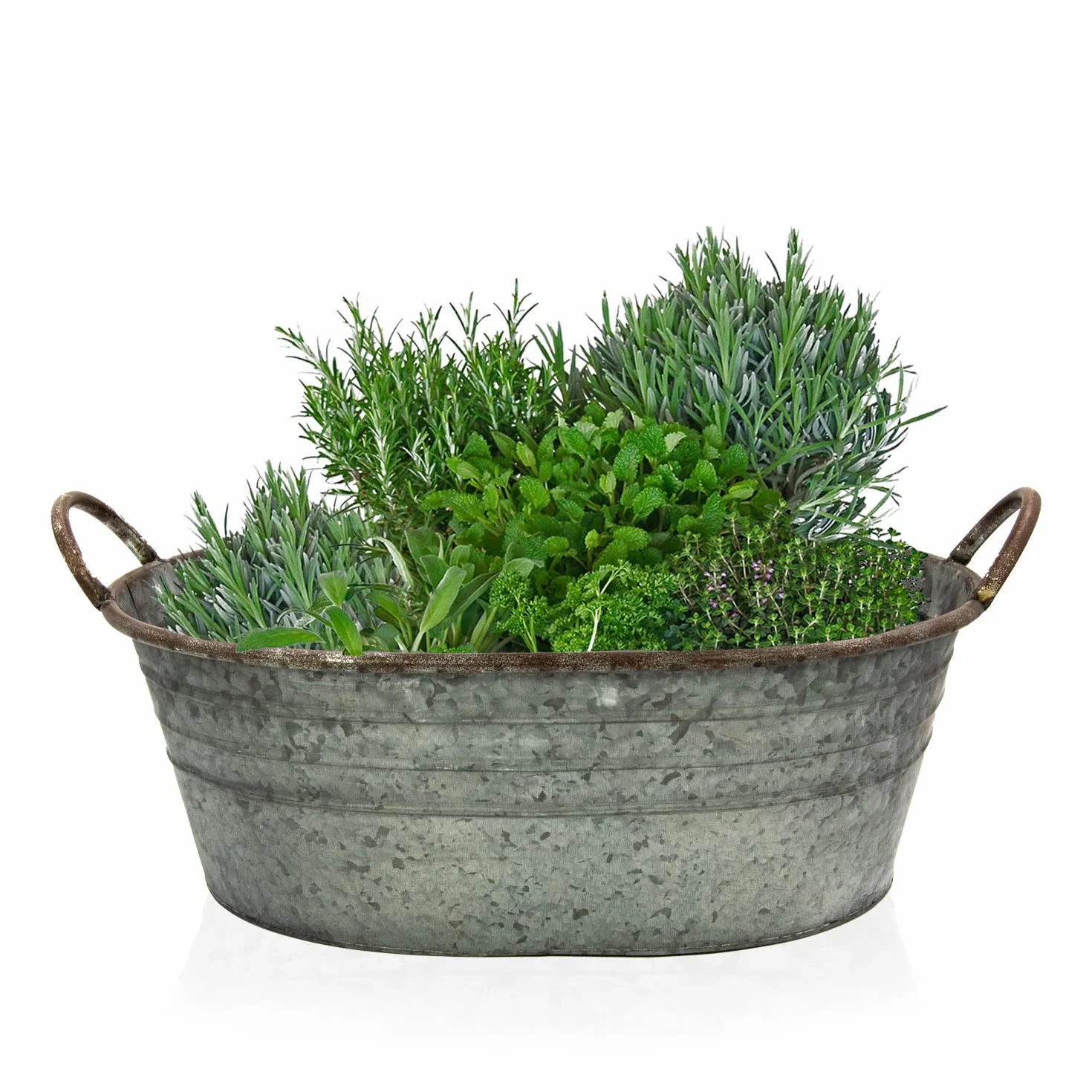 Ocynkowana wanna – miska do sadzenia roślin – dekoracja ogrodowa na zewnątrz – wanna wodna, mini staw, dekoracja na balkon (48 cm)