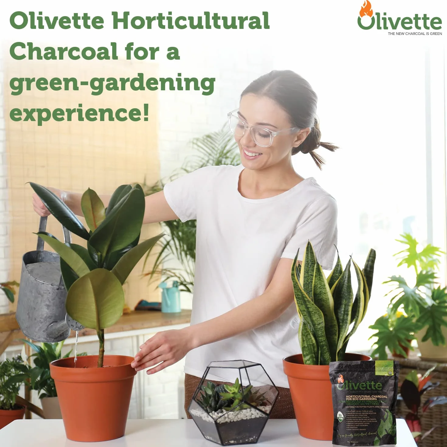 Olivette Ogrodniczy węgiel aktywowany do roślin wg, terrarium ogrodnictwo pochłaniacze wilgoci, materiały terrarium, certyfikat USDA Organic 1 torba