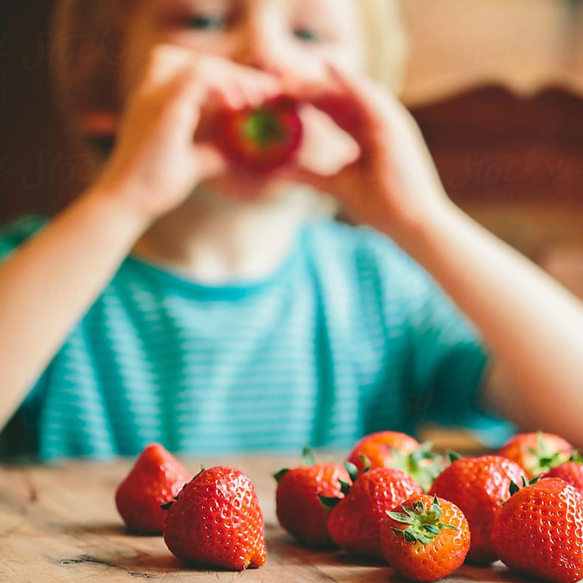 Wysokiej jakości nasiona truskawki, Minigardy gotowe do uprawy, w 100% naturalne, bez chemicznych rozmnażaczy lub inżynierii genetycznej, zawiera od 300 do 340 nasion