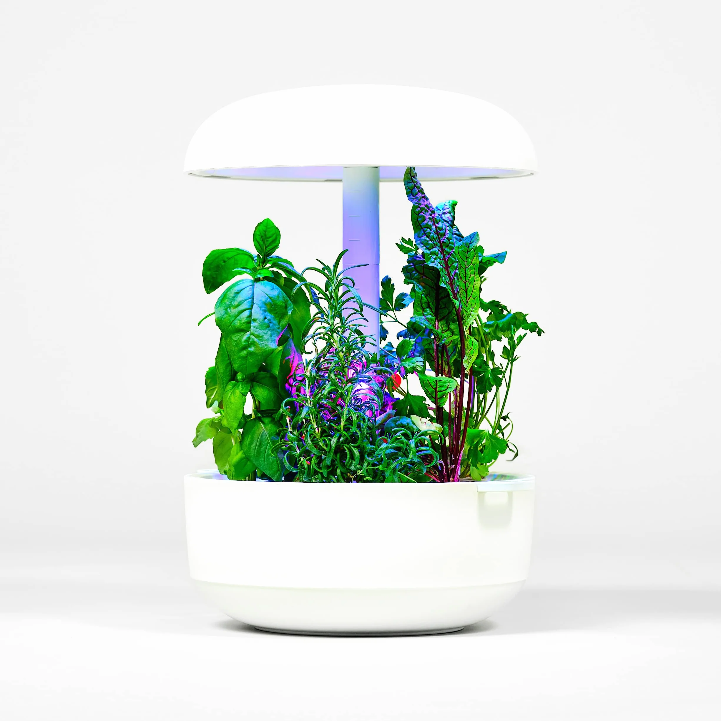 Wymienna pompa kompatybilna z Plantui Smart Garden