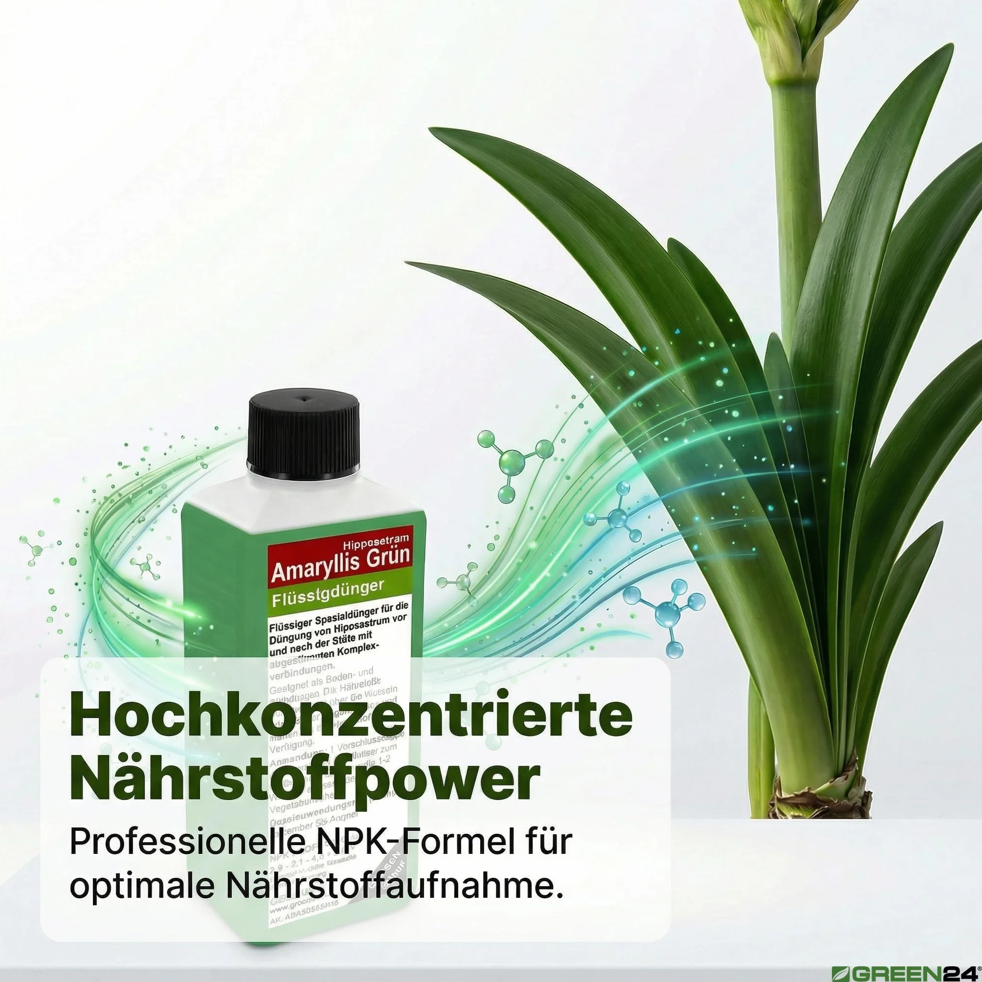 GREEN24 Amaryllis nawóz płynny HIGHTECH na czas bez kwiatów