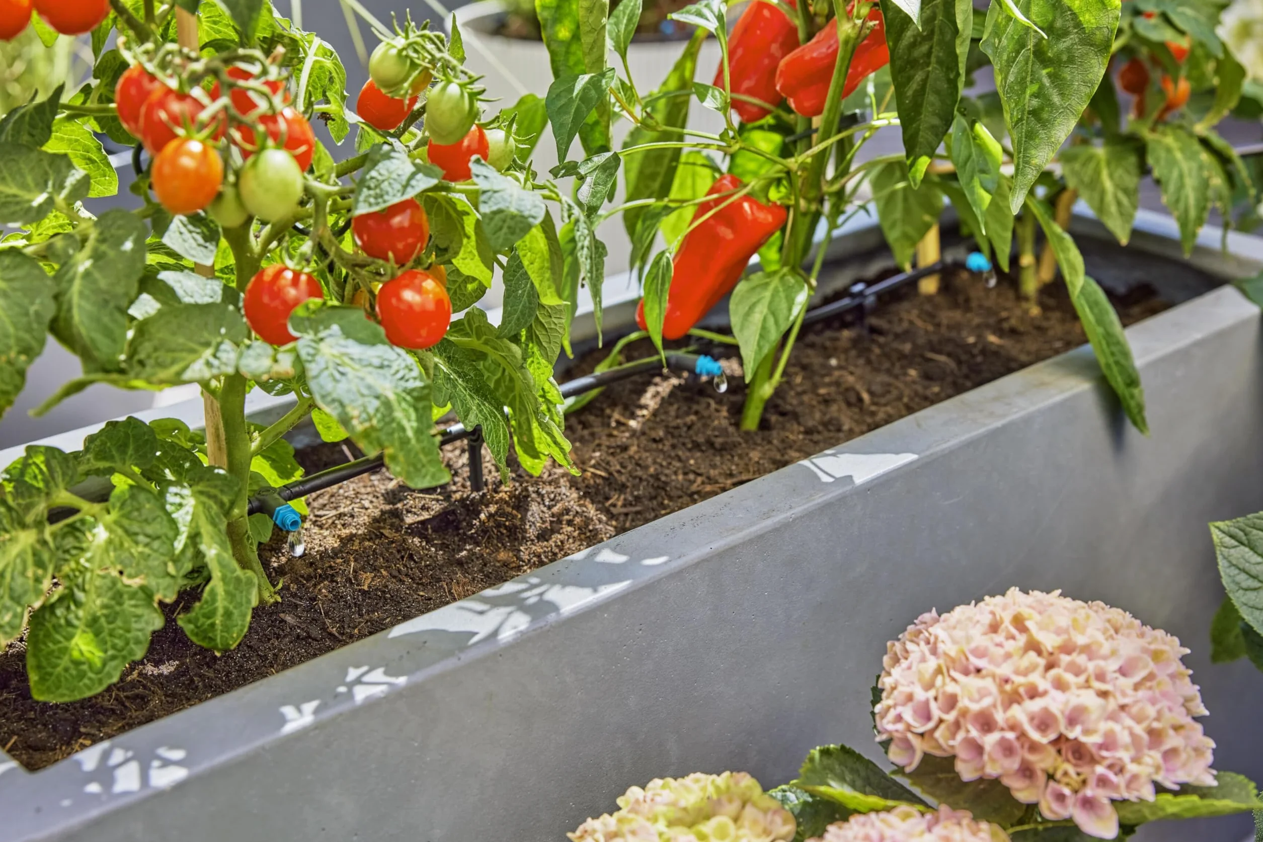 Gardena system Micro-Drip nawadnianie kropelkowe zestaw tarasowy 30 roślin