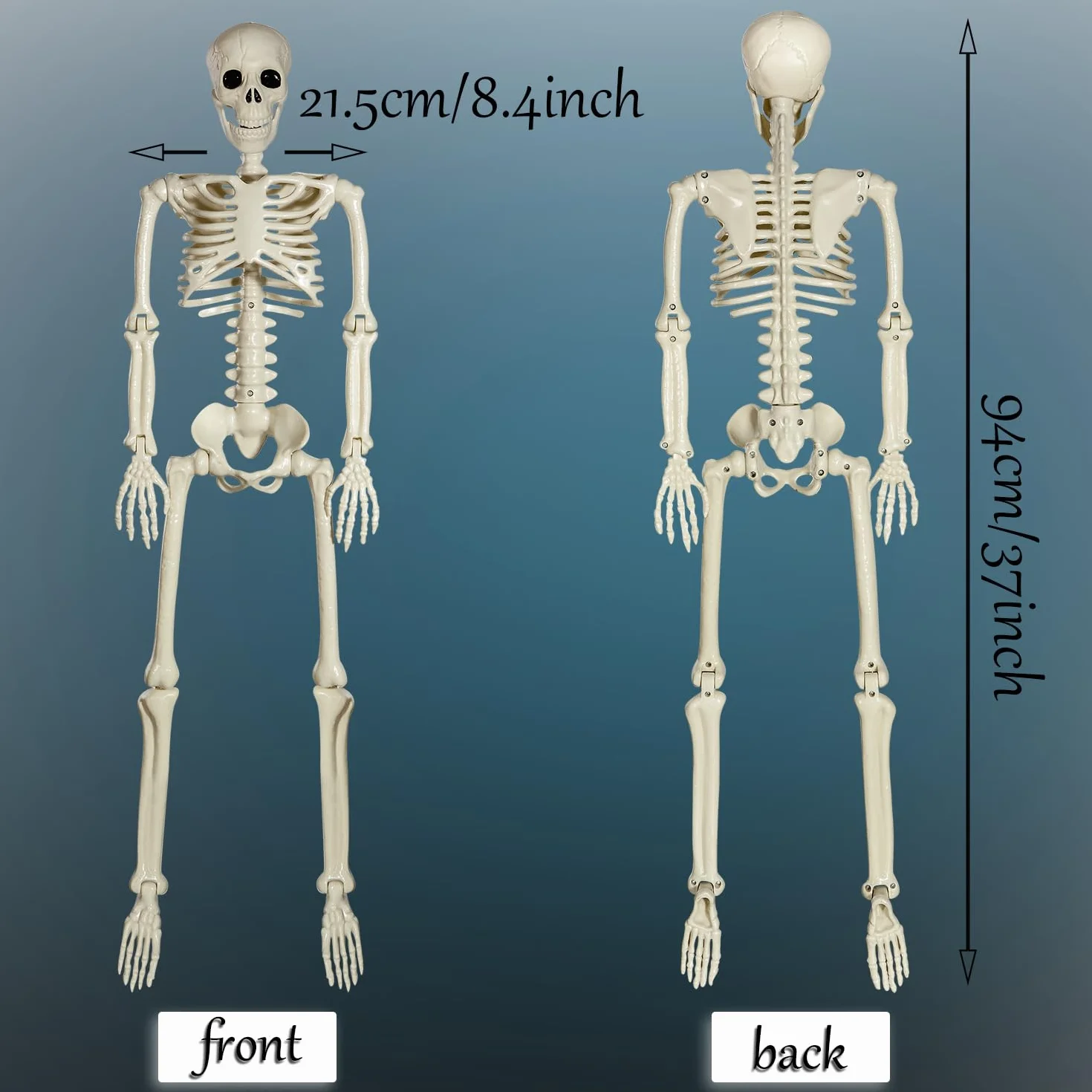 Możliwy szkielet na Halloween, 90 cm, szkielet na Halloween z ruchomymi przegubami, na Halloween, do wewnątrz, do ogrodu, domu, na patio, dekoracje (90 cm)