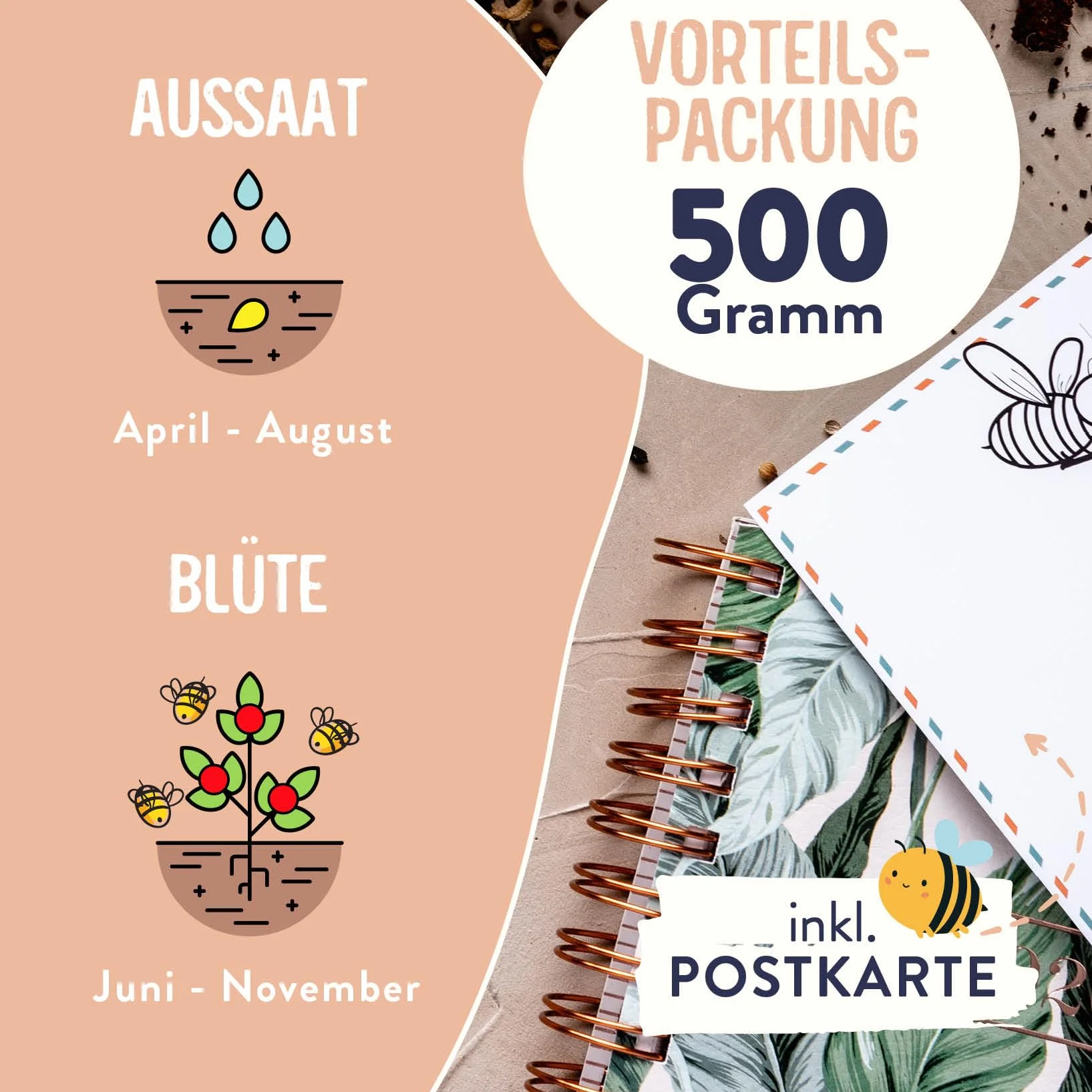 Nasiona kwiatów 500 g na 250 m² – kolorowa mieszanka dzikich kwiatów dla pszczół – przyjazne dla owadów kwiaty do ogrodu i na balkon