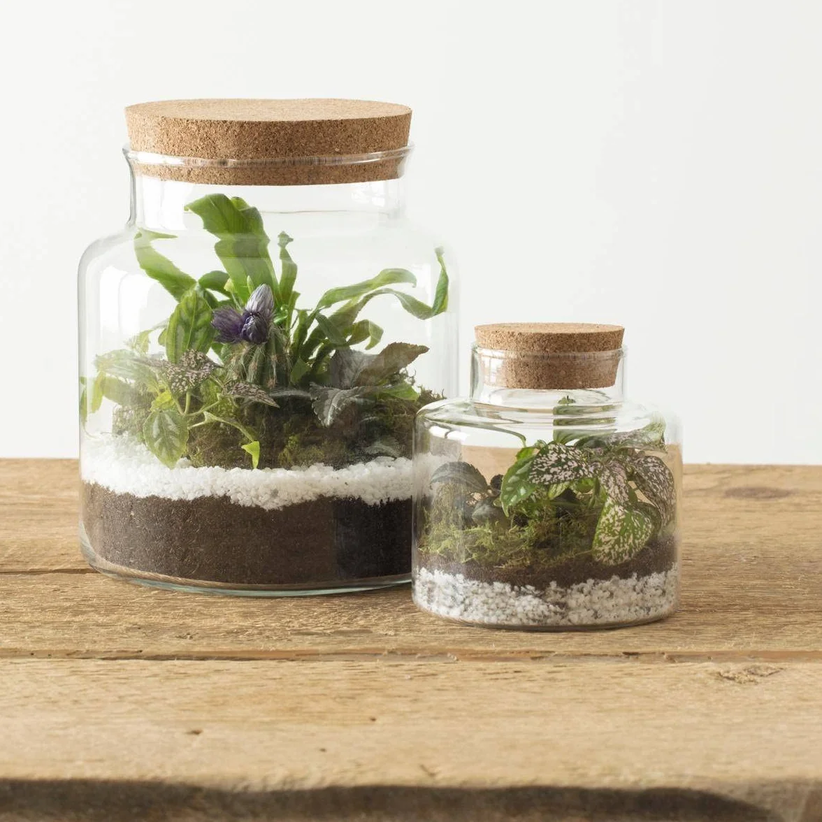 Atmosphera - Terrarium z hartowanego szkła i korka H 21,5 cm, aby stworzyć swoje kompozycje kwiatowe