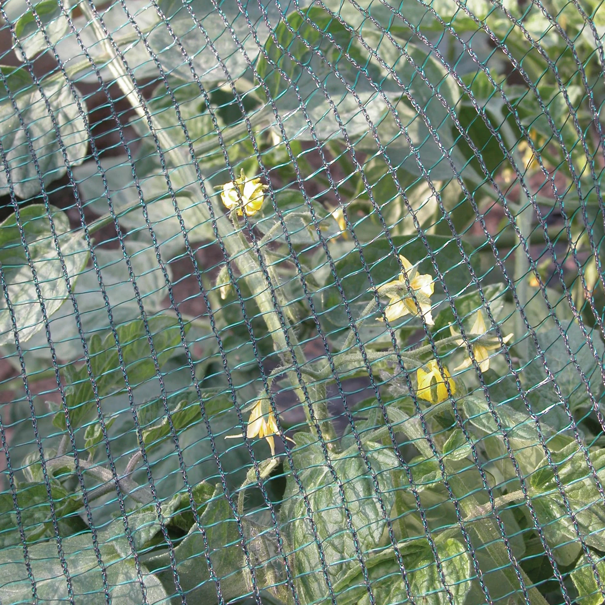 Tenax 4,00x10 m, Zielony, 4,00 x 10 m