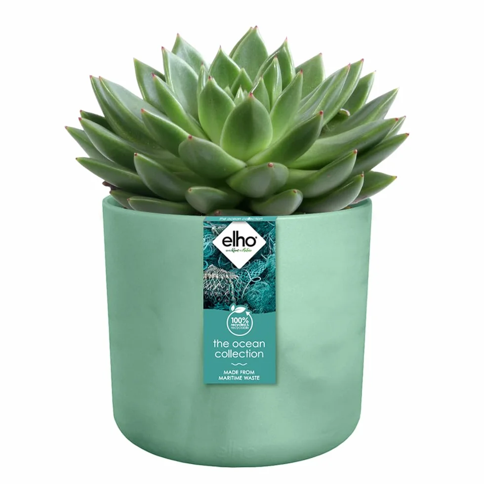 elho The Ocean Collection okrągła 18 cm – doniczka na kwiaty do wewnątrz, w 100% z recyklingu, wykonana z odpadów morskich, zielona/zieleń Pacyfiku