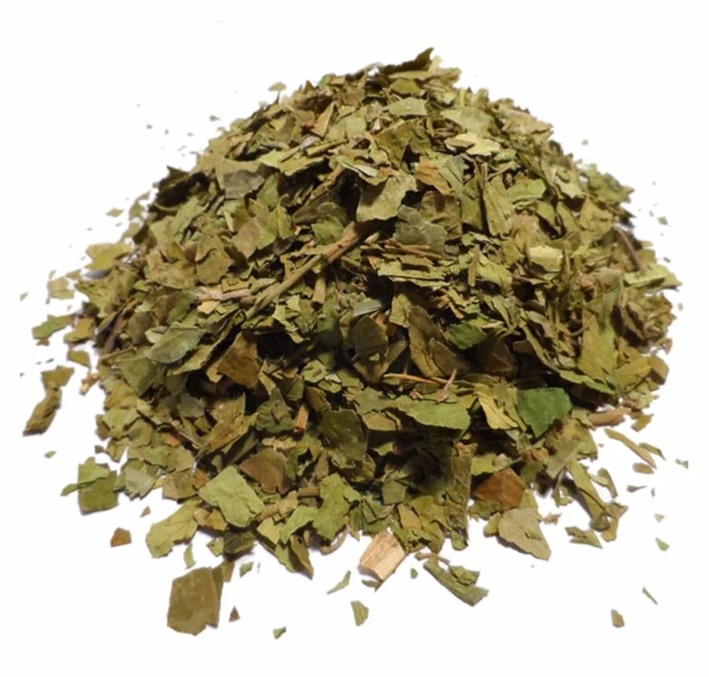 Gymnema Sylvestre Cut Leaf
