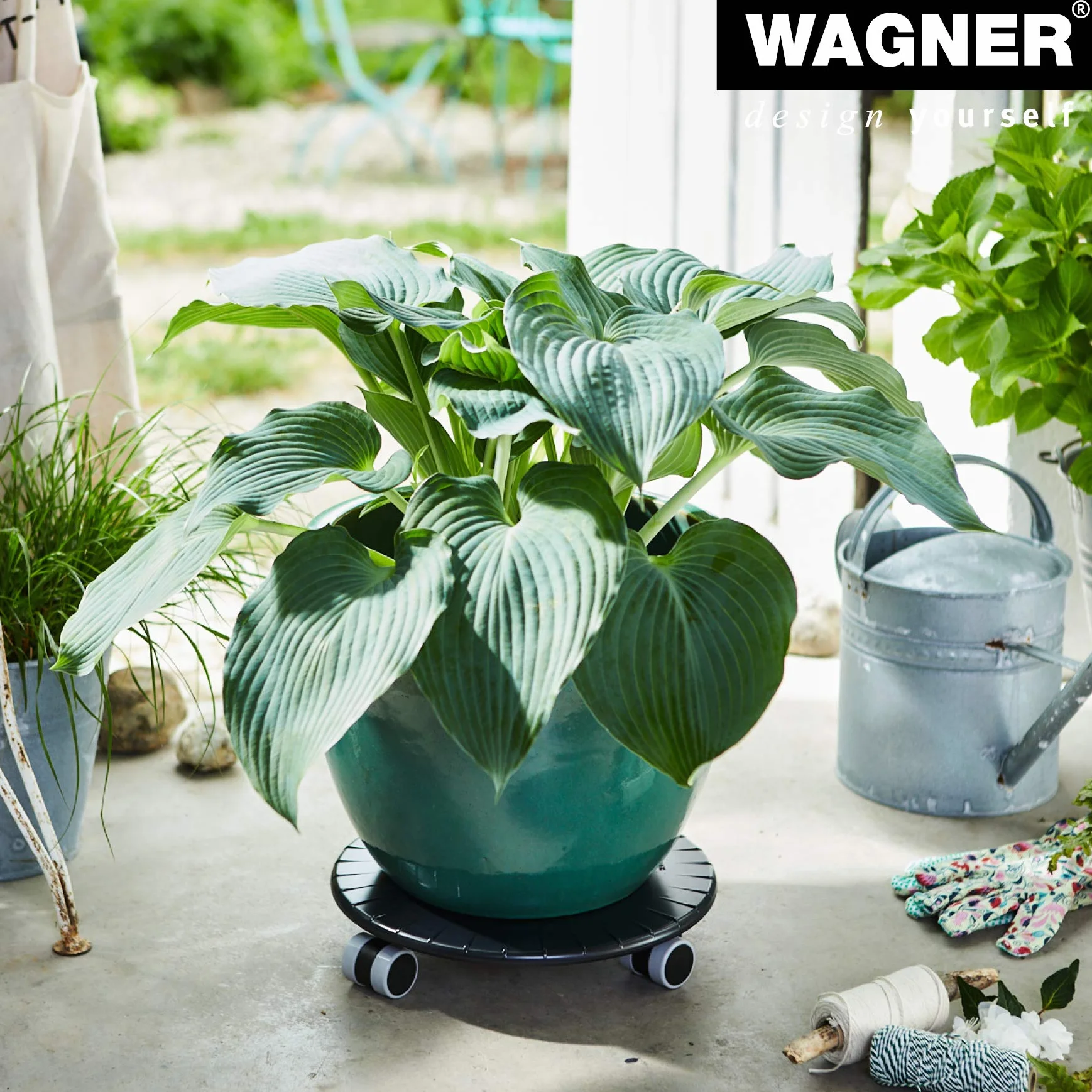 WAGNER Flat 20044901 wózek na rośliny Ø 30 x 6 cm, do użytku w pomieszczeniach, czarny I płaska rolka z tworzywa sztucznego ABS, odporna na działanie wody, udźwig 80 kg