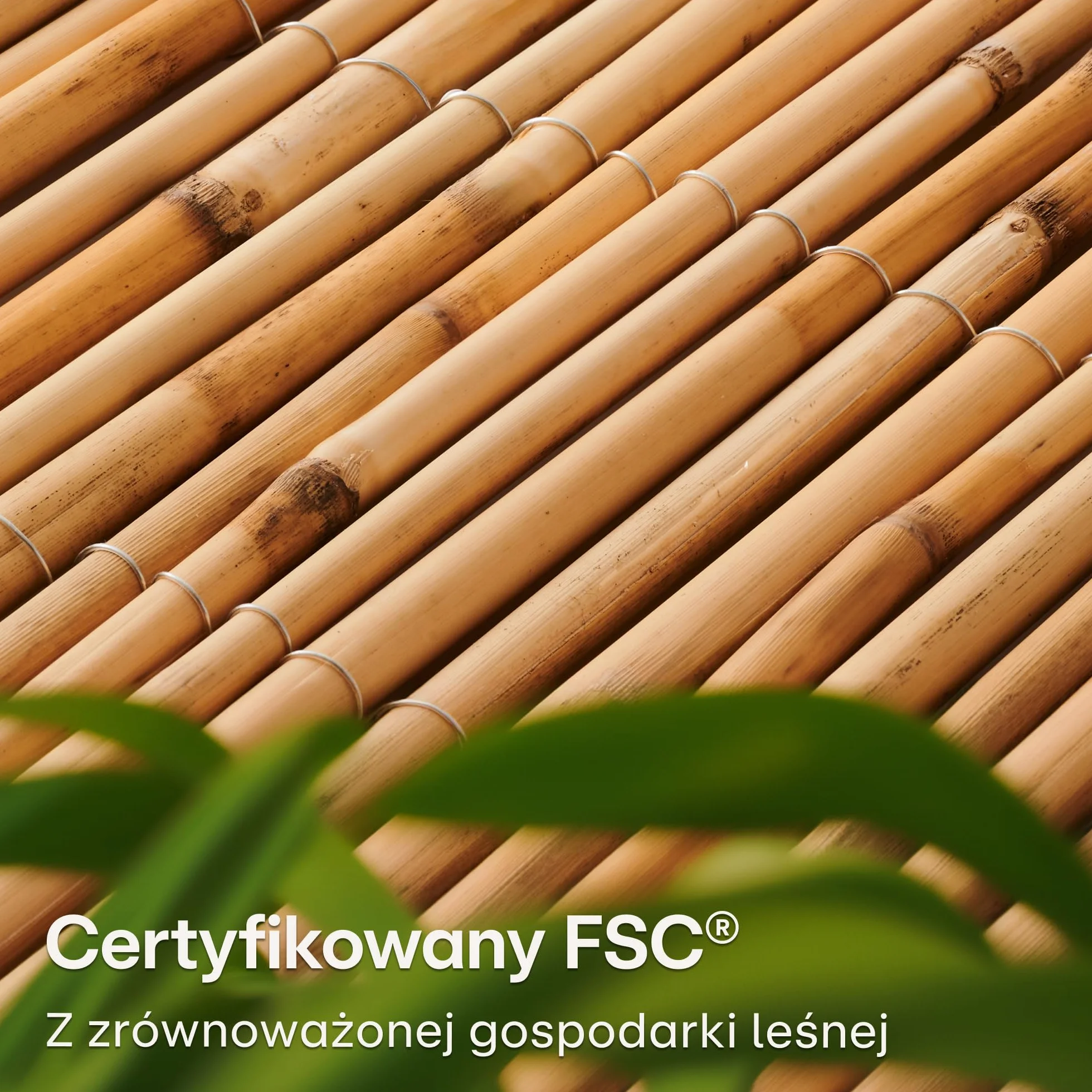 Praknu Osłona balkonowa z trzciny - Naturalna trzcina z certyfikatem FSC® - Wszechstronne zastosowanie wewnątrz i na zewnątrz - Idealna na balkony i do ogrodów - 100 x 300 cm