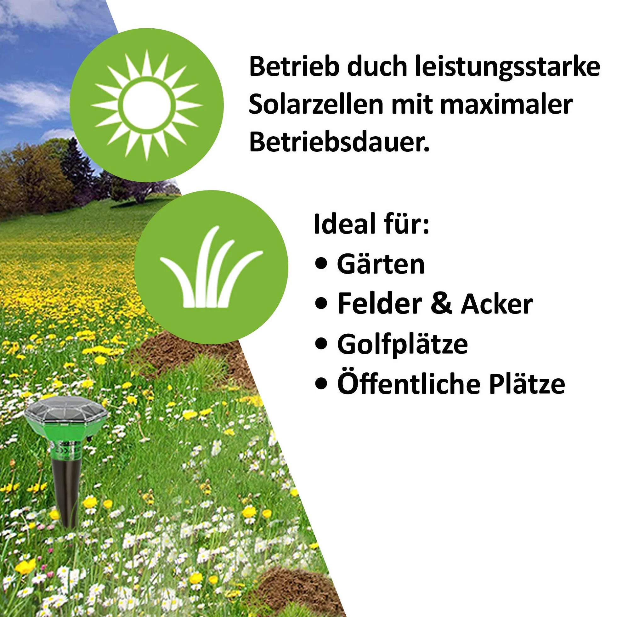 ISOTRONIC Odstraszacz kretów do odstraszania kretów, norników i węży – solarny odstraszacz kretów z ostrzem do wbijania w ziemię do ogrodu – odstrasza krety 1000 m² (3 sztuki)