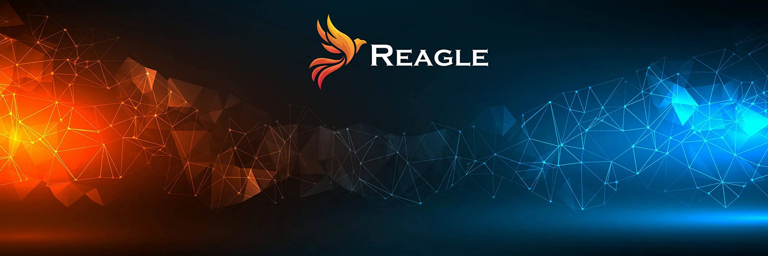 Reagle Zewnętrzny napęd CD/DVD USB-C i USB-A 2 w 1, zewnętrzny palnik i czytnik do laptopów Windows Linux Plug & Play USB 3.2 Gen 1 5 Gbps Slim Design czarny