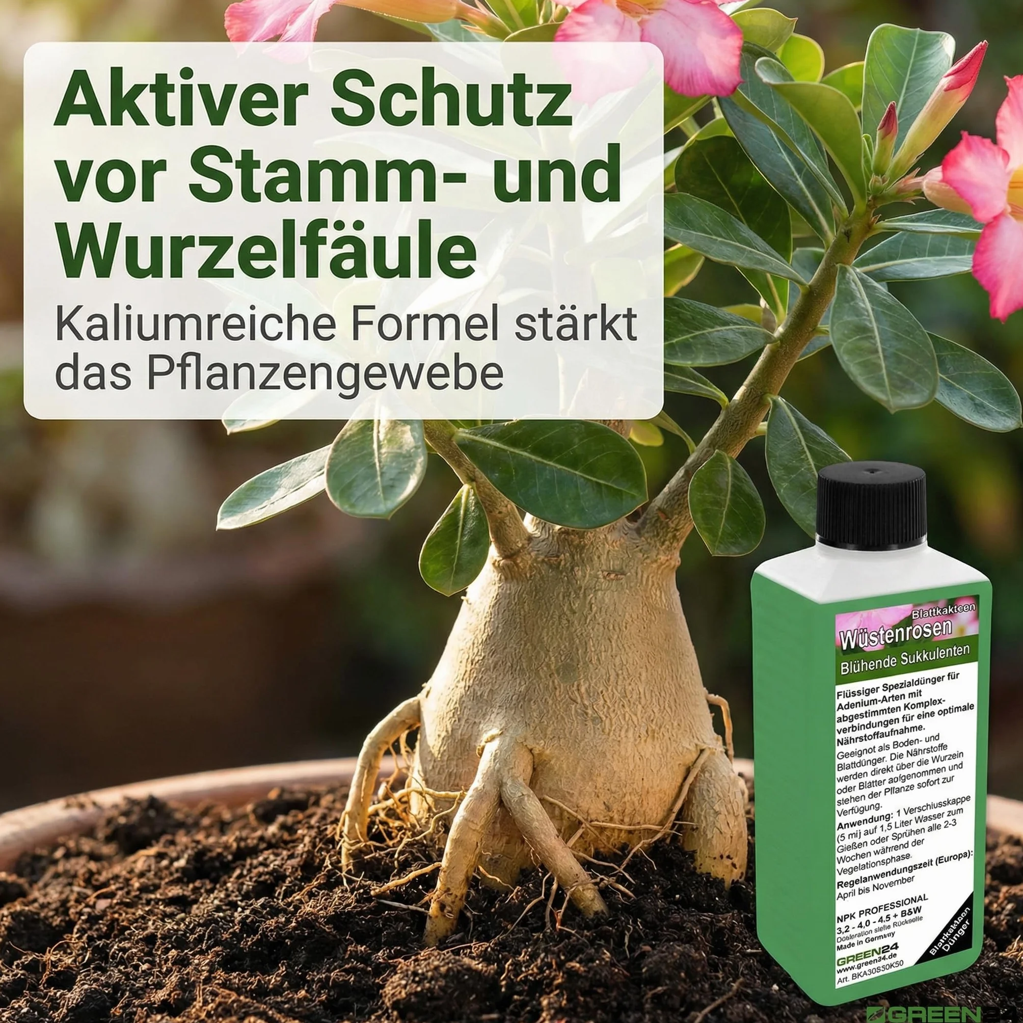 GREEN24 Nawóz do róż pustynnych 250 ml, specjalny nawóz do Adenium obesum, wspomaga gęsty kaudex, bogaty blask kwiatów i zwarty wzrost, idealny do wszystkich drzew butelkowych i roślin kaudexowych