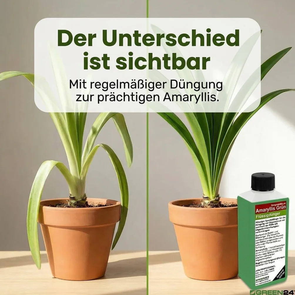 GREEN24 Amaryllis nawóz płynny HIGHTECH na czas bez kwiatów