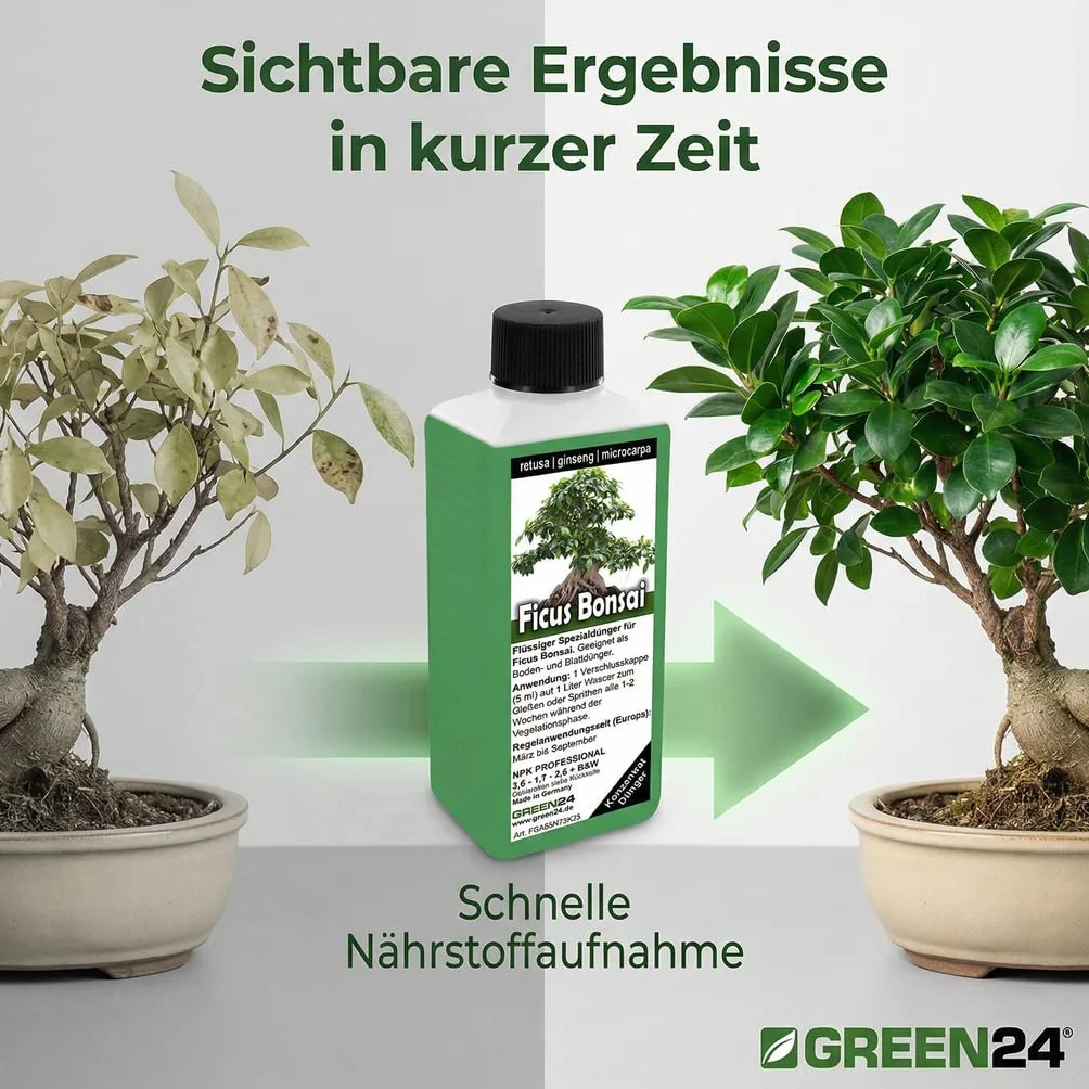 Nawóz do bonsai Ficus Ginseng retusa microcarpa, chińska figa, nawóz płynny