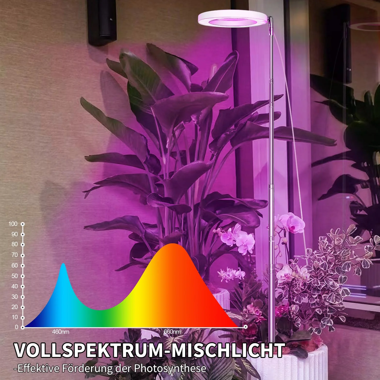 Qoolife Lampa LED do roślin pokojowych, pełne spektrum światła, 155 cm, regulowana wysokość światła z 72 diodami LED, 3 poziomy jasności, programator czasowy 3/9/12 godzin, do roślin w pomieszczeniach