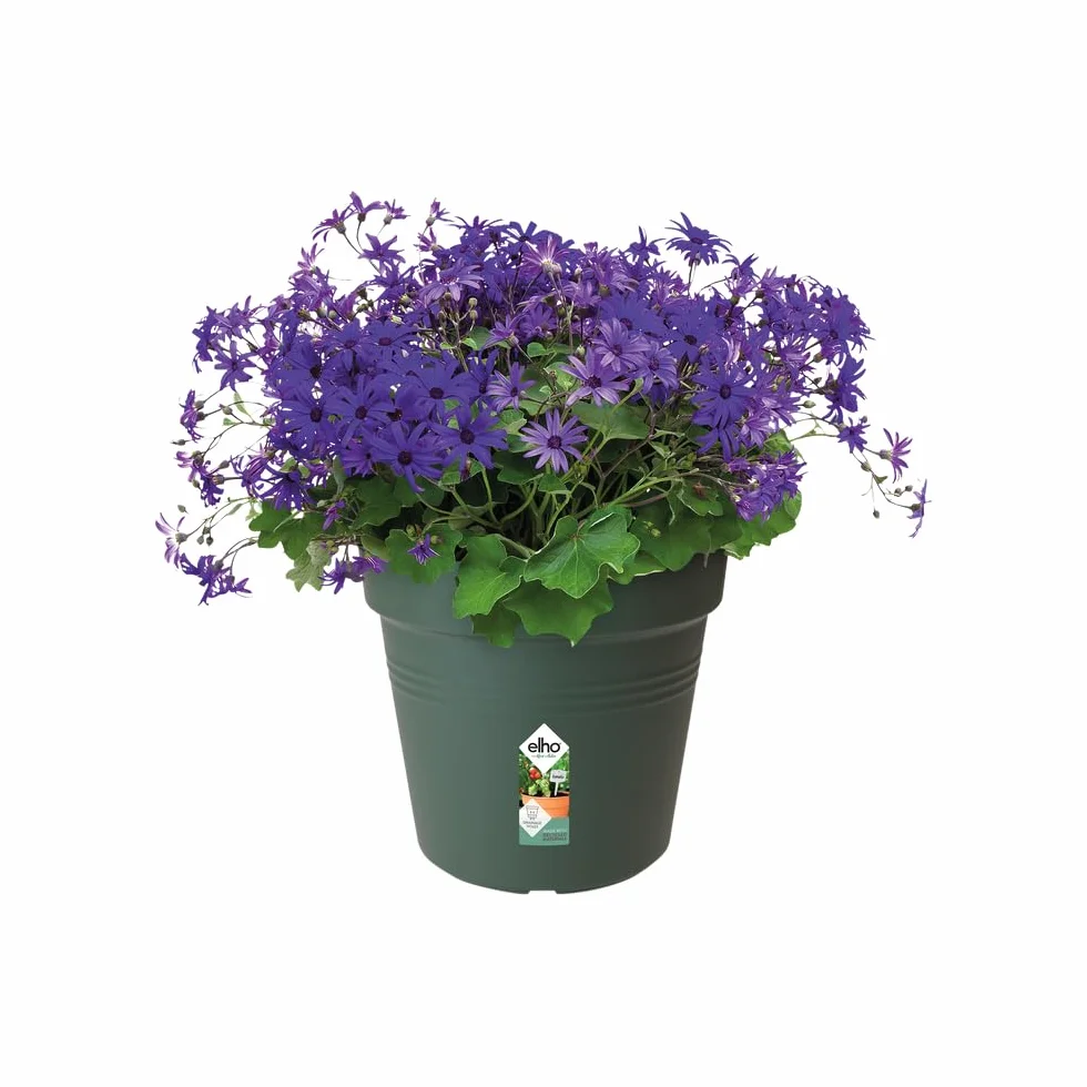 Elho Green Basics doniczka do uprawy 30 – garnek do uprawy i zbiorów – Ø 30,0 x wys. 27,7 cm – zielony/zielony liściasty