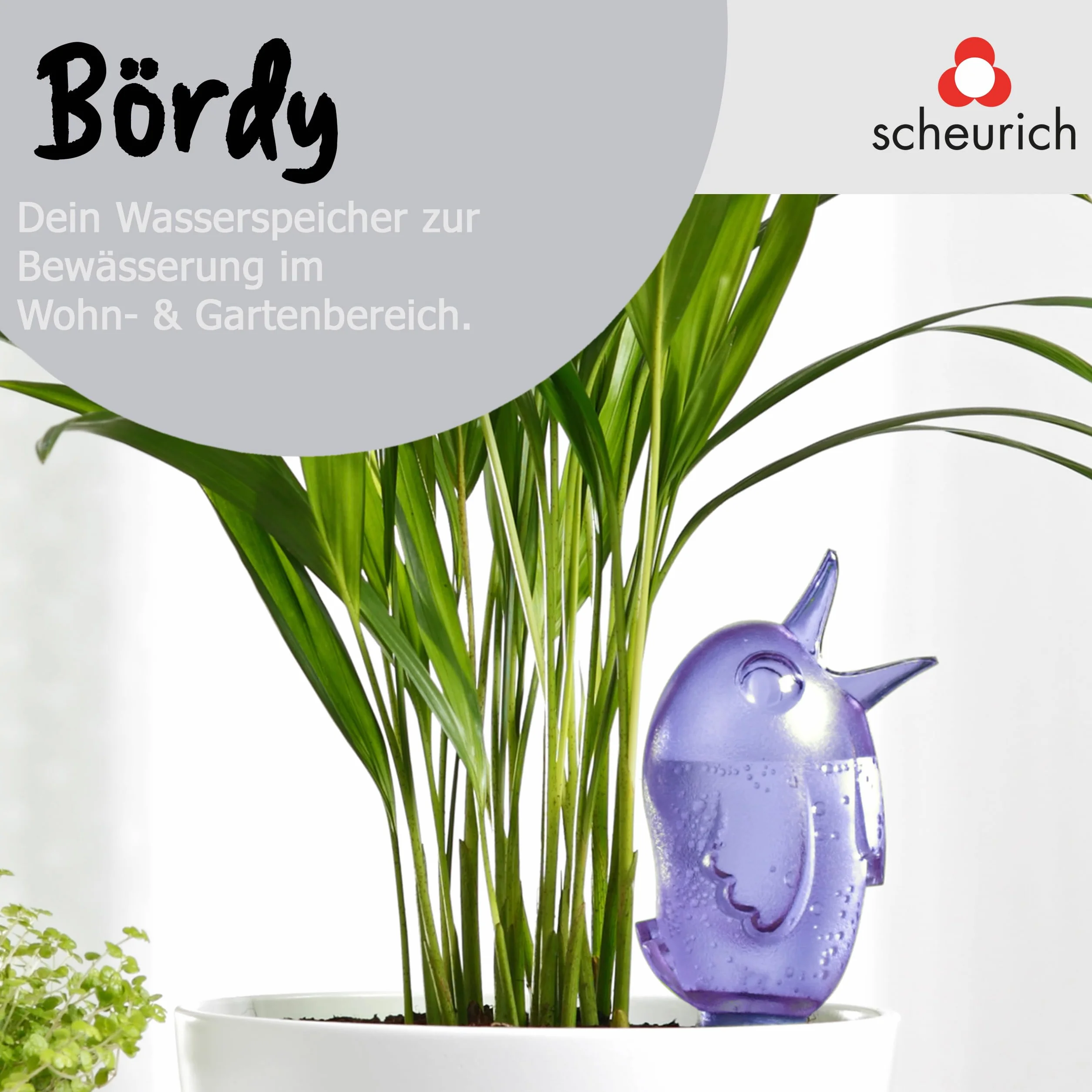 Scheurich 510507 akcesoria roślinne Bördy S, niebieskie Ø 10 cm, wysokość 15 cm