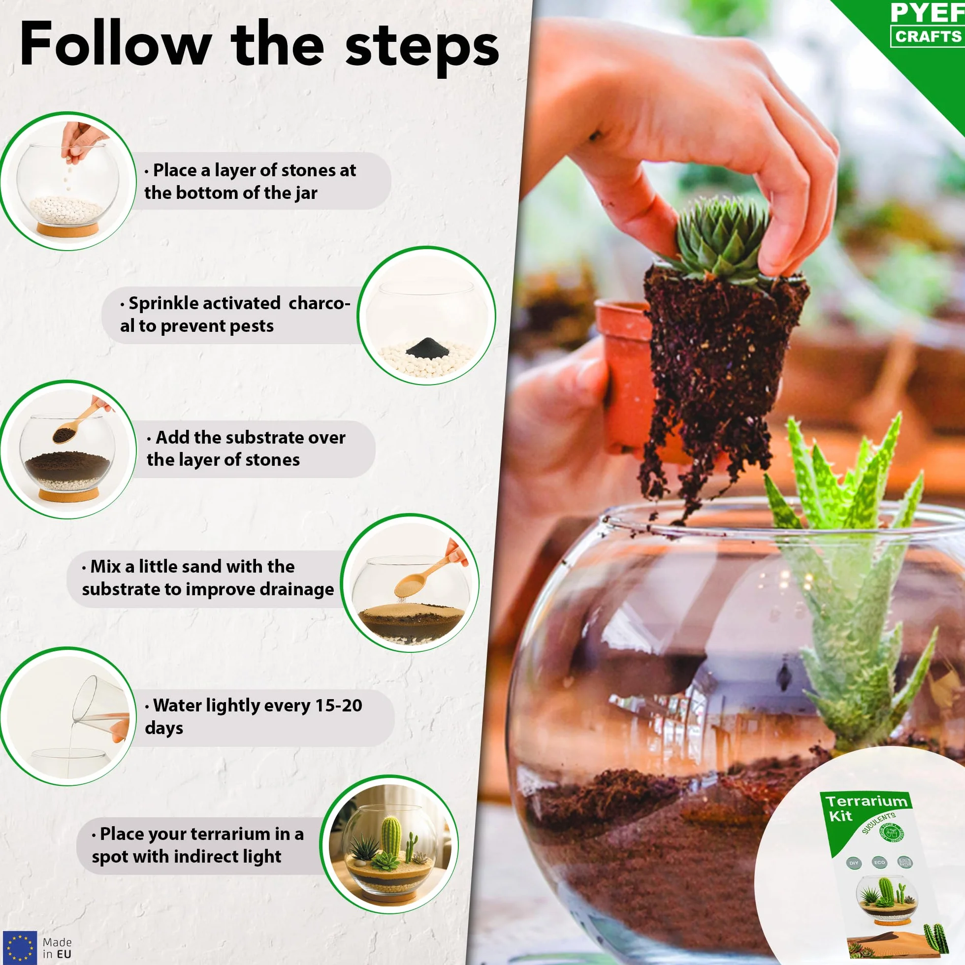 Zestaw do terrarium DIY dla sukulentów i kaktusów – zestaw startowy ze szklaną miską w zestawie – stwórz własny zestaw terrarium ze słoikiem, piaskiem, ziemią, węglem drzewnym, kamieniami
