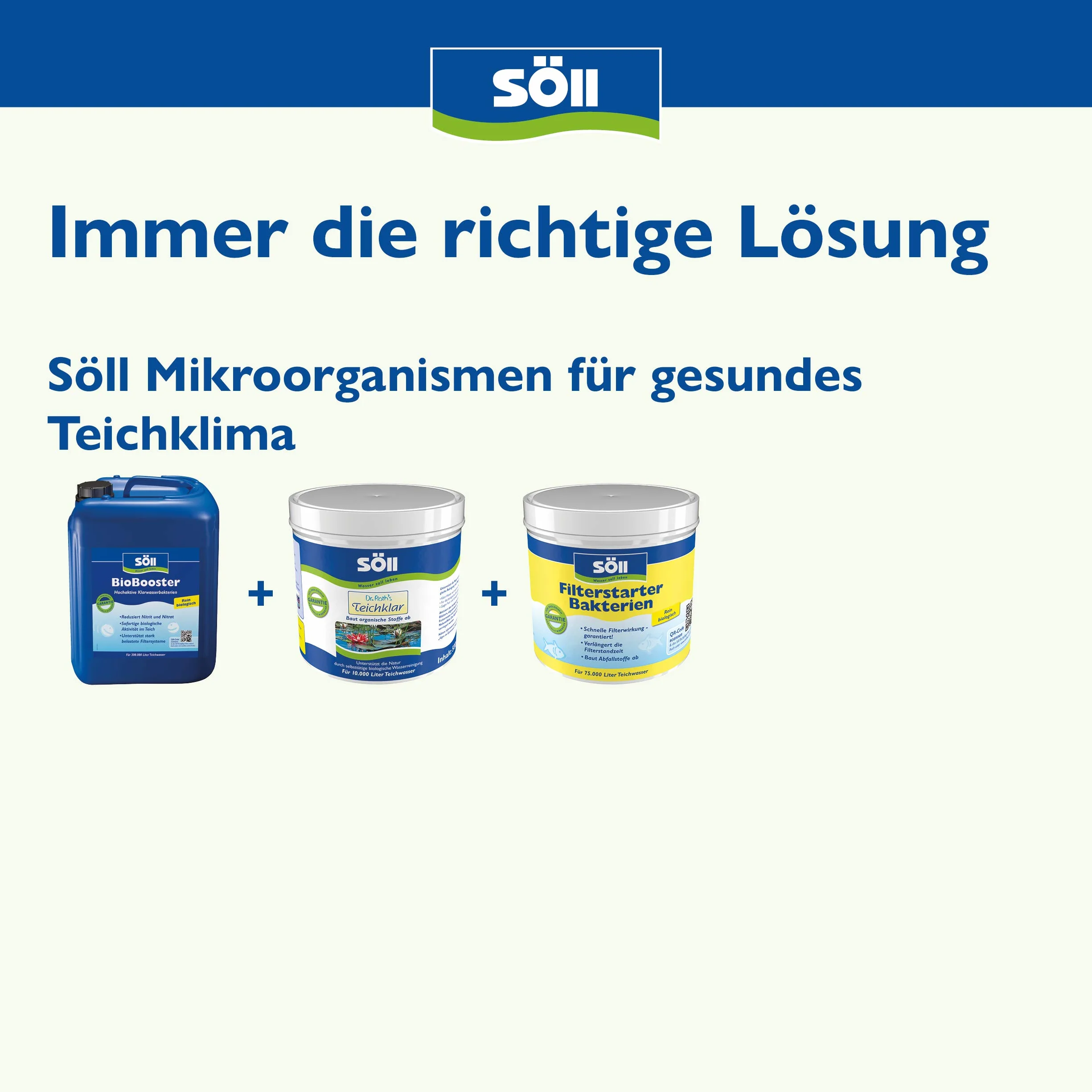 Söll 81439 bakterie do stawów 250 g naturalne bakterie filtrujące