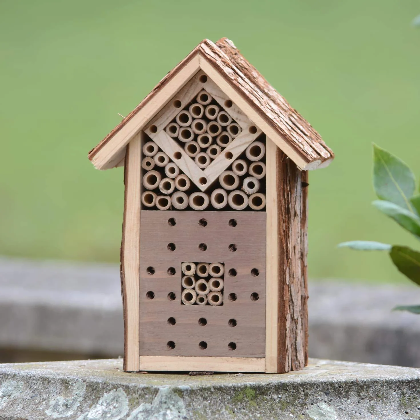 CKB LTD Małe naturalne drewno kora owady bug hotel - dla pszczół biedronek dom drewniany zewnętrzny schronienie ogród ogród dom na zewnątrz siedlisko dom - mały 16 x 9 x 23 cm