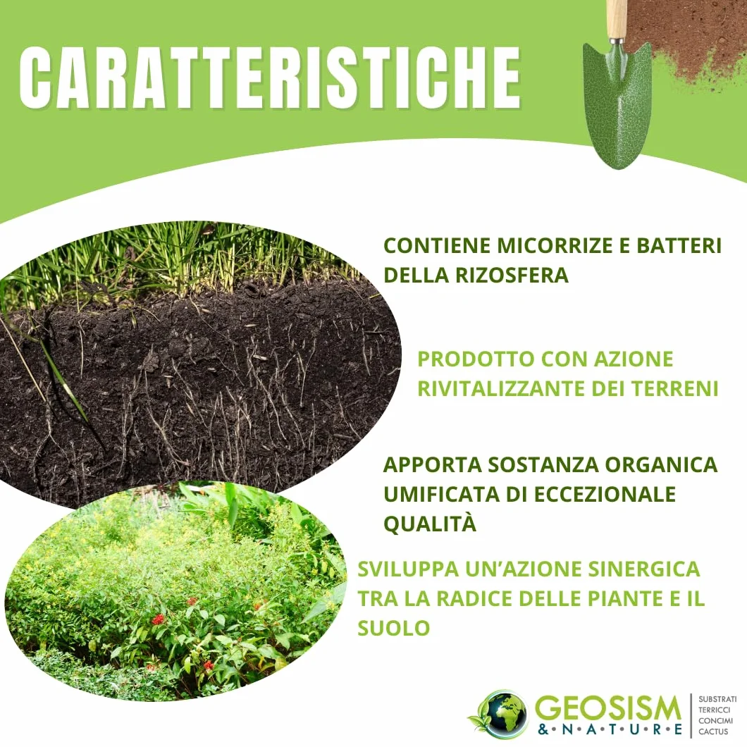 Geomicor Radicant Solid, (1 kg), inoculo granulare di funghi micorrizici e batteri della rizosfera per ortaggi, piante e fiori