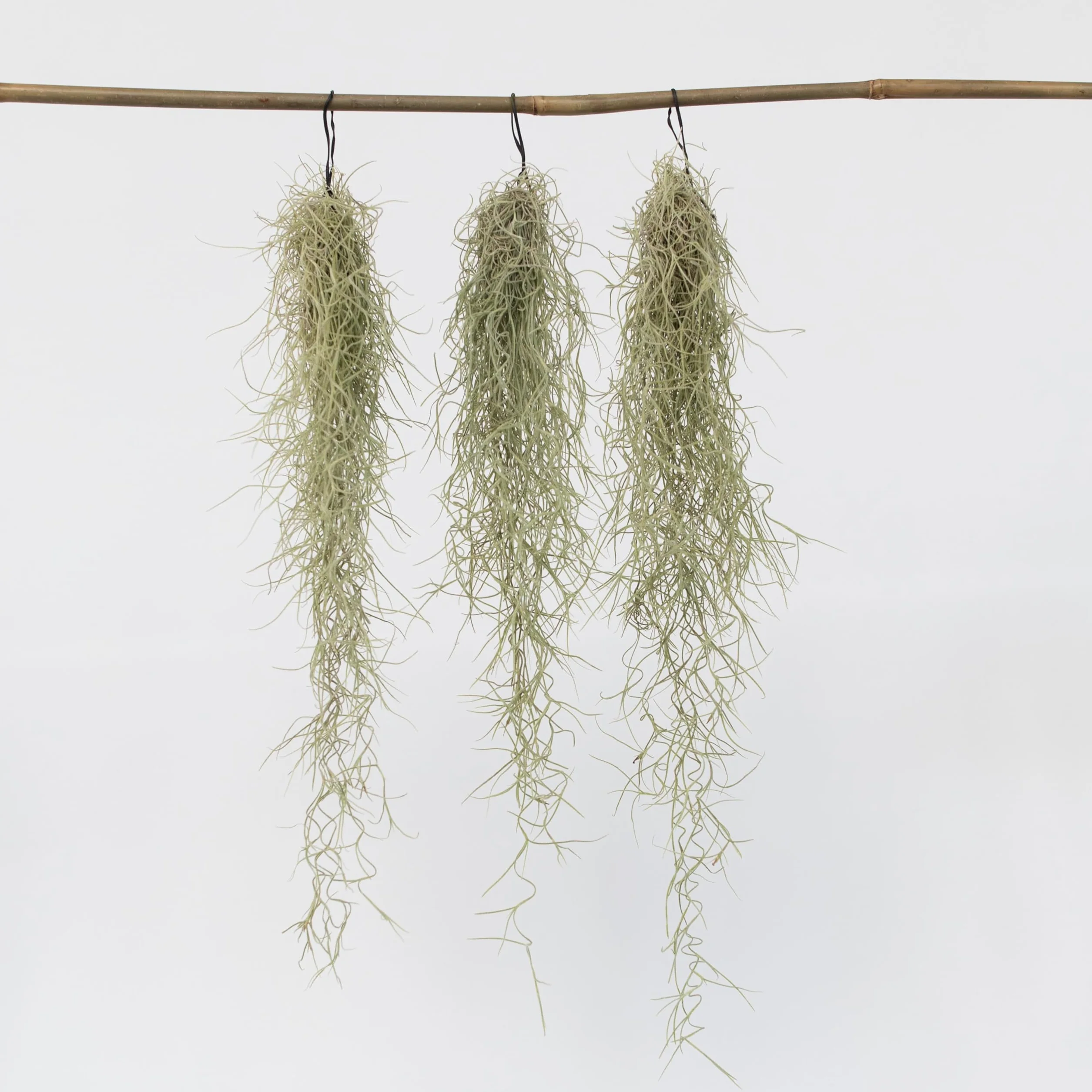 Plant in a Box -