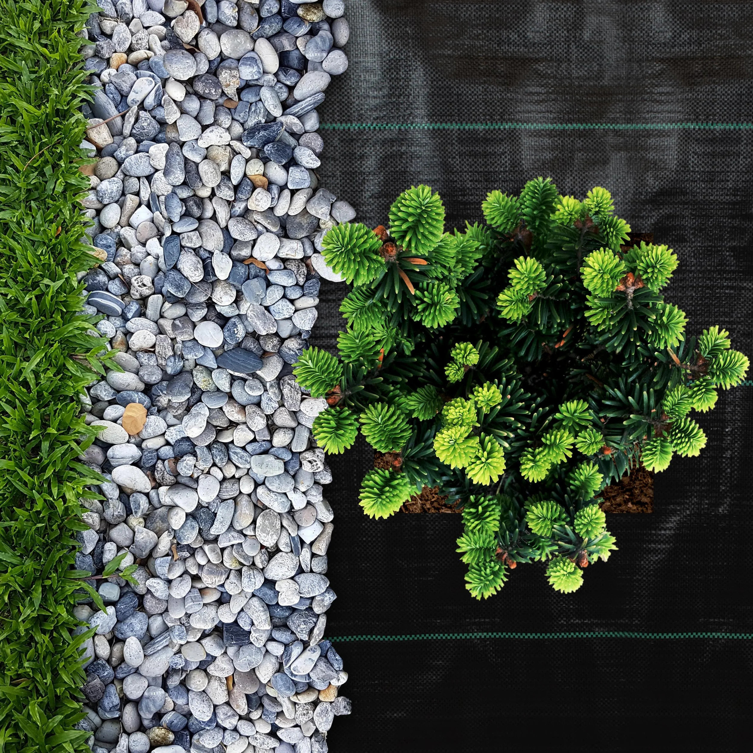 Sillar Folia przeciw chwastom, folia ogrodowa, przepuszczająca wodę, odporna na rozerwanie, z wysoką stabilnością UV (90 g/m², 3x10m)