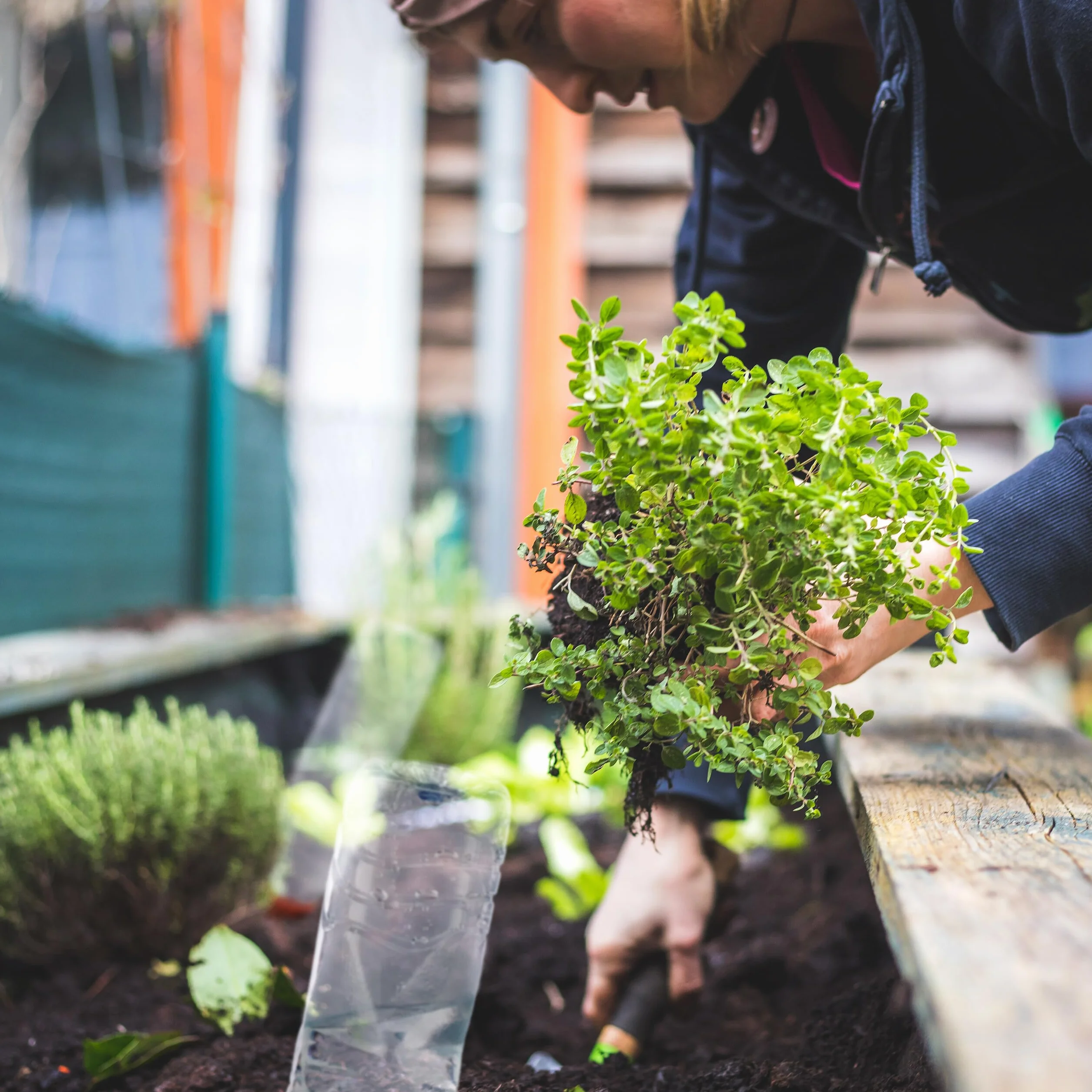 Relaxdays Stożek gliniany do nawadniania, zestaw 6 sztuk, do butelek PET 1,5 l, terakota
