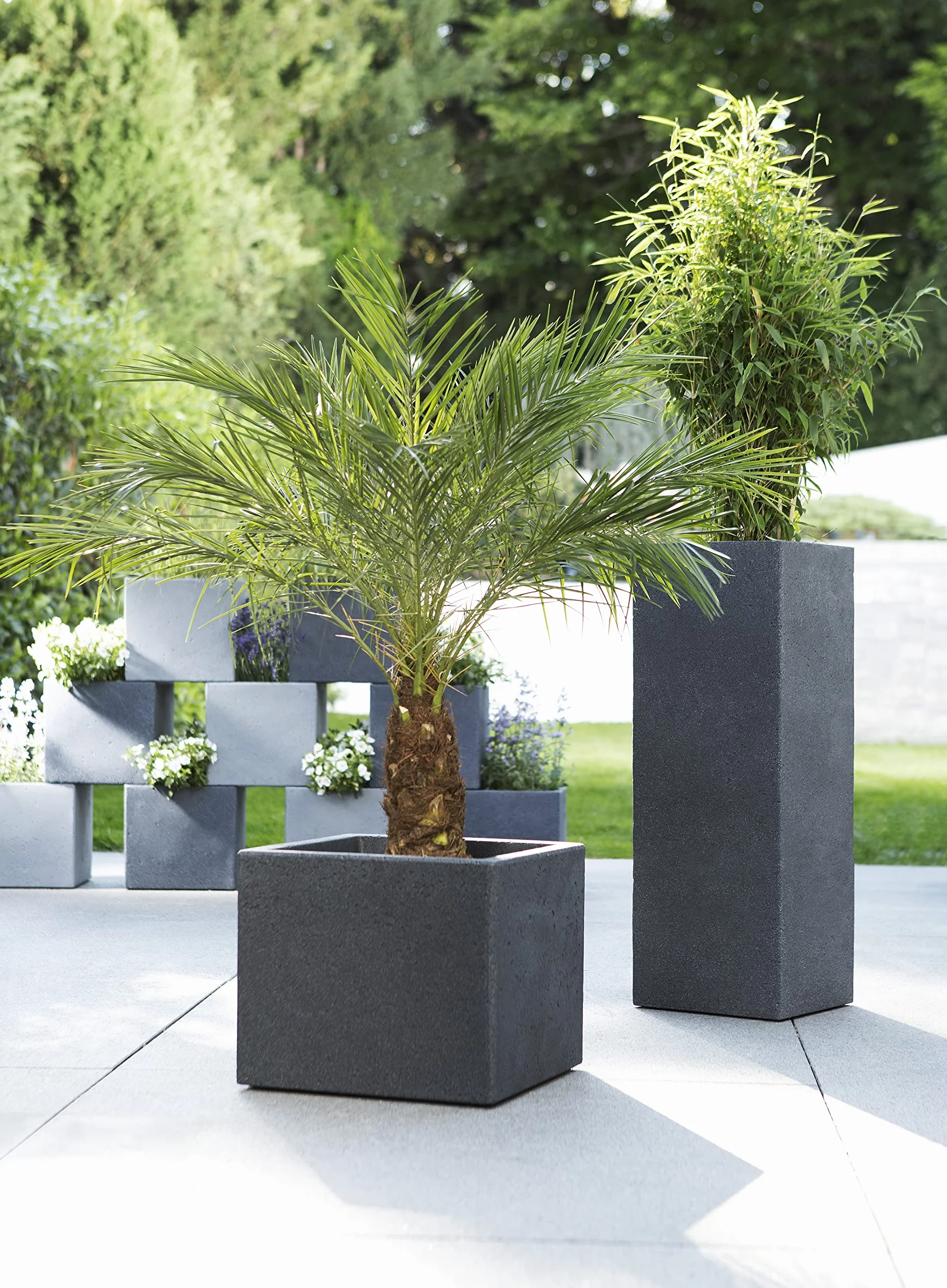 Scheurich C-Cube Donica Stony Black 40 cm wysokość 33 cm
