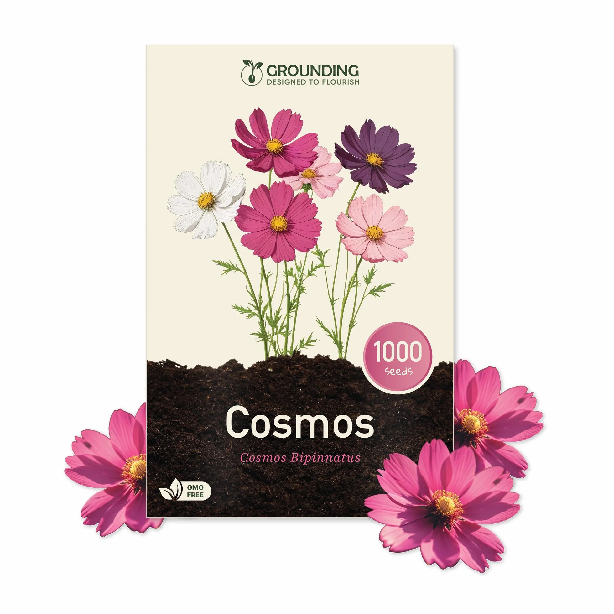 Cosmos bipinnatus Seeds Mix white pink fuchsia 1000 nasion wysokość 80-120 cm kwiaty cięte
