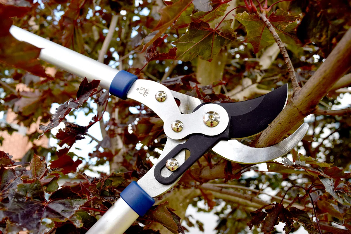 Spear & Jackson 8031RS 71 cm Podwójnie złożony sekator obejściowy