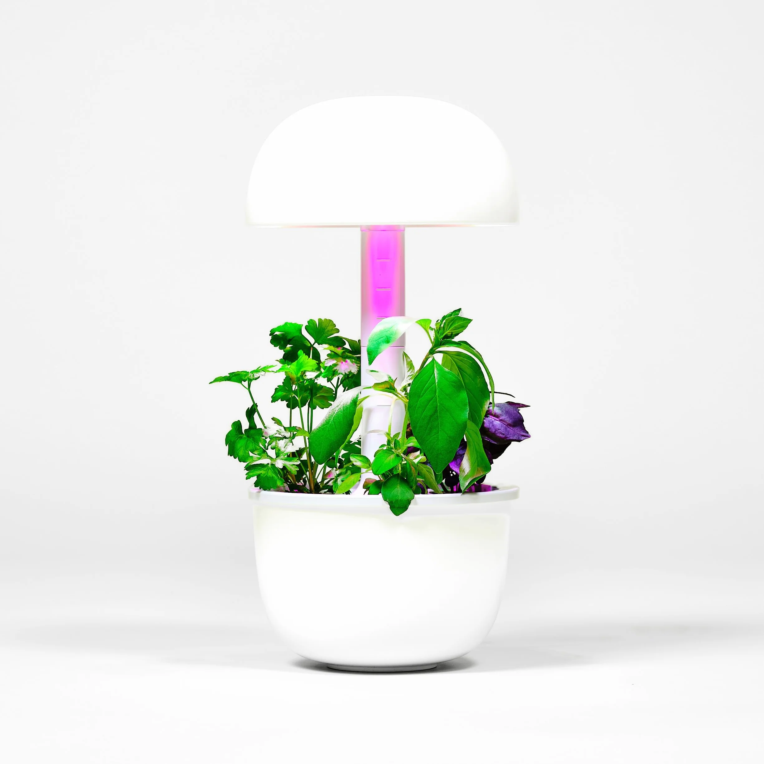 Wymienna pompa kompatybilna z Plantui Smart Garden
